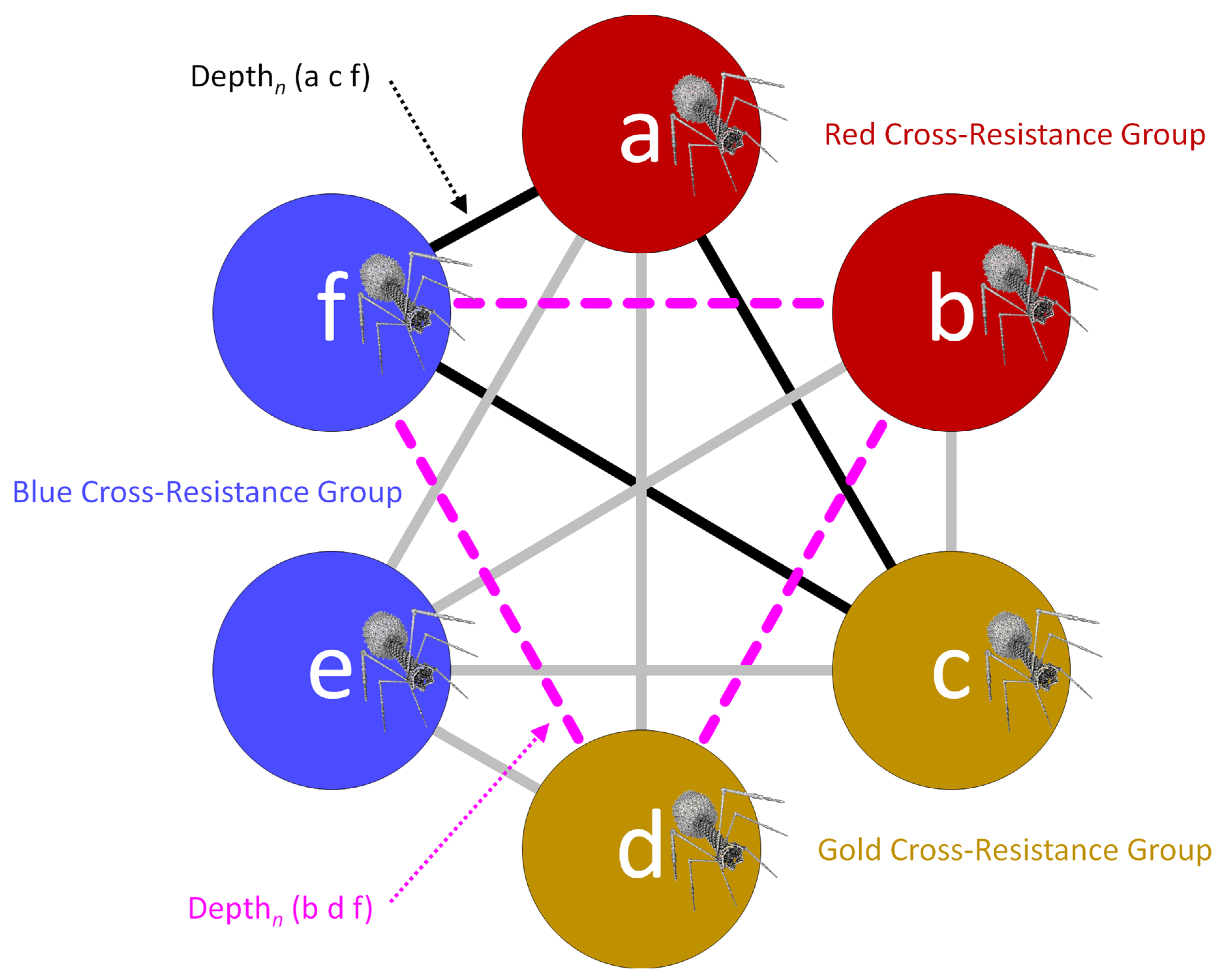 Pharmaceuticals 14 01019 g004 550