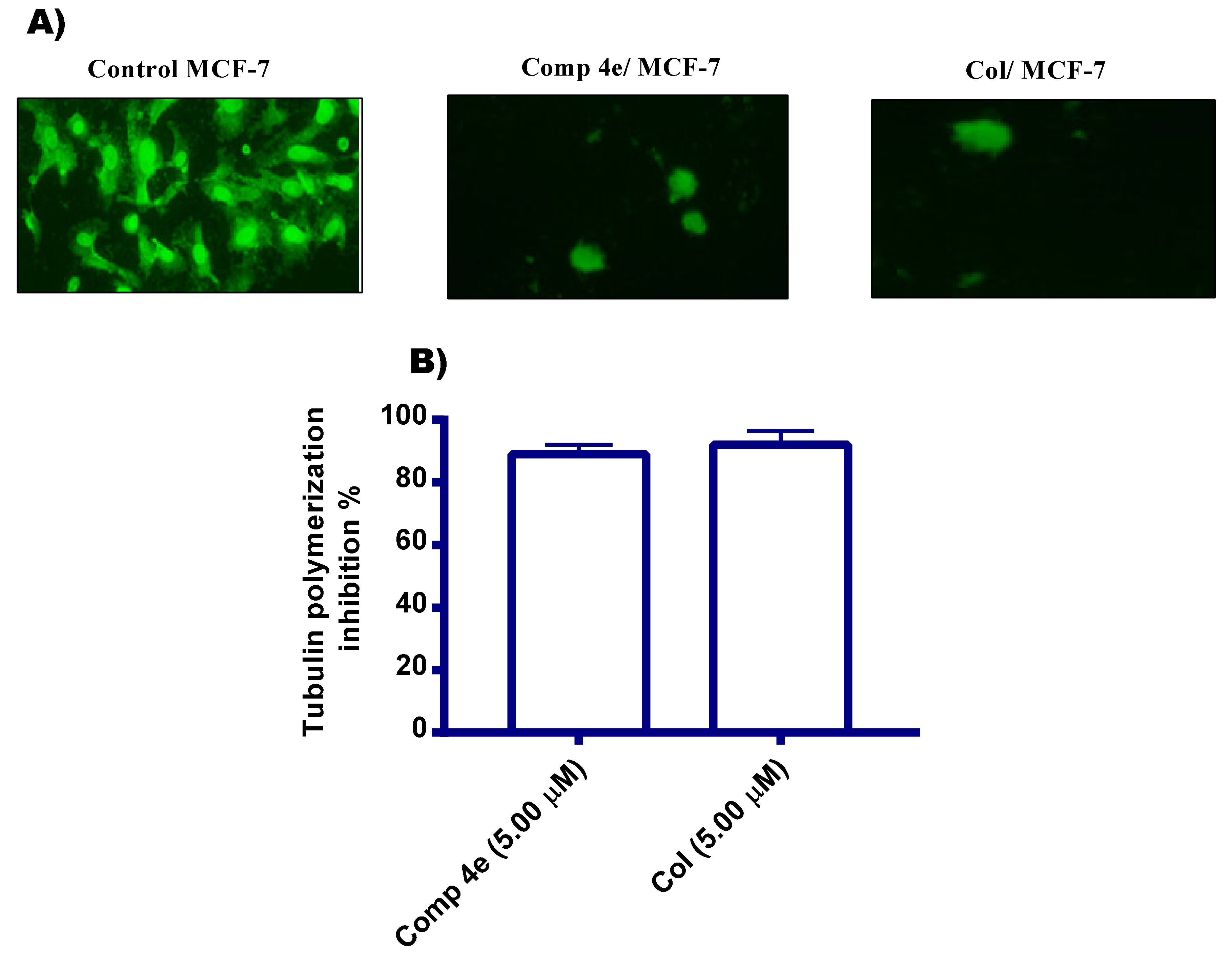 Pharmaceuticals 14 01021 g003