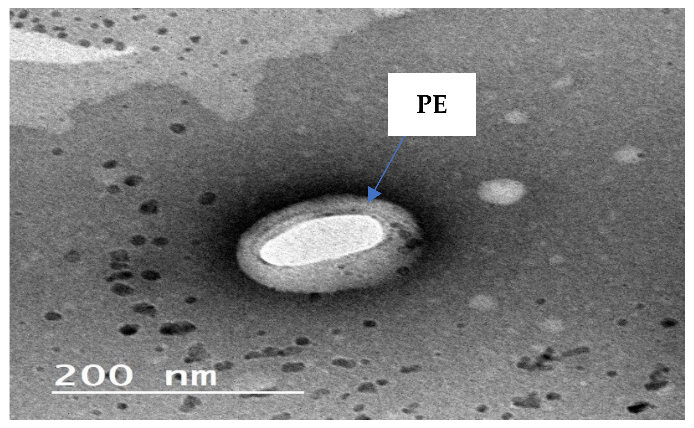 Pharmaceuticals 14 01021 g014