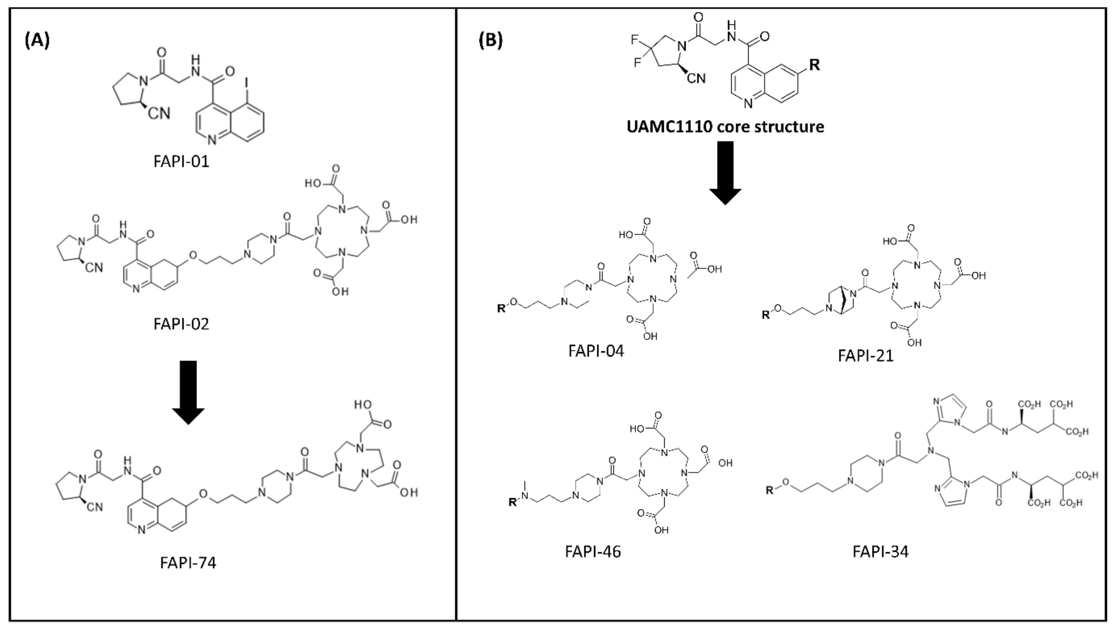 Pharmaceuticals Free Full Text New Frontiers In Cancer Imaging And Therapy Based On Radiolabeled Fibroblast Activation Protein Inhibitors A Rational Review And Current Progress Html Pharmaceuticals Free Full Text New Frontiers In Cancer Imaging And Therapy Based On Radiolabeled Fibroblast Activation Protein Inhibitors A Rational Review And Current Progress Html