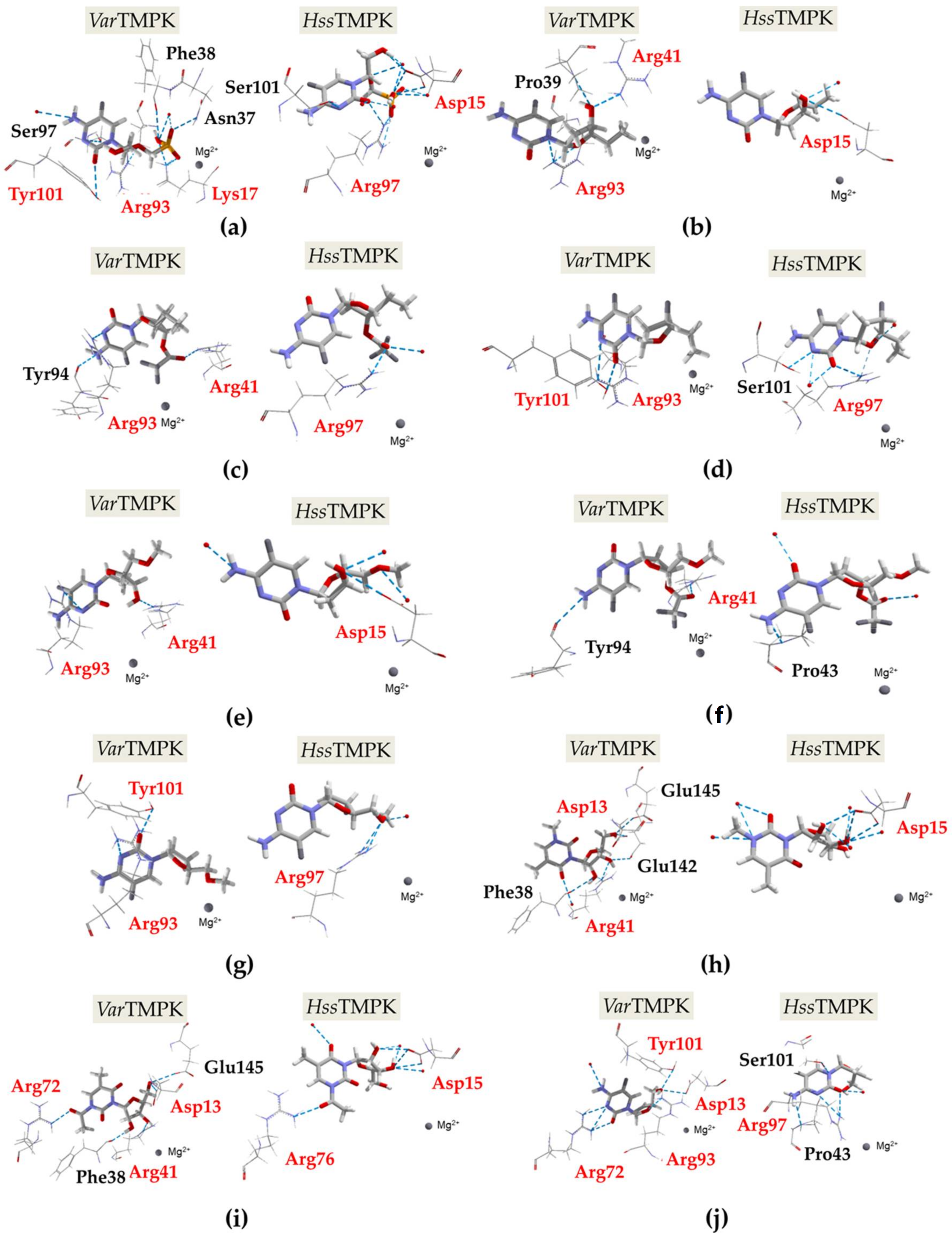 Pharmaceuticals 14 01027 g003