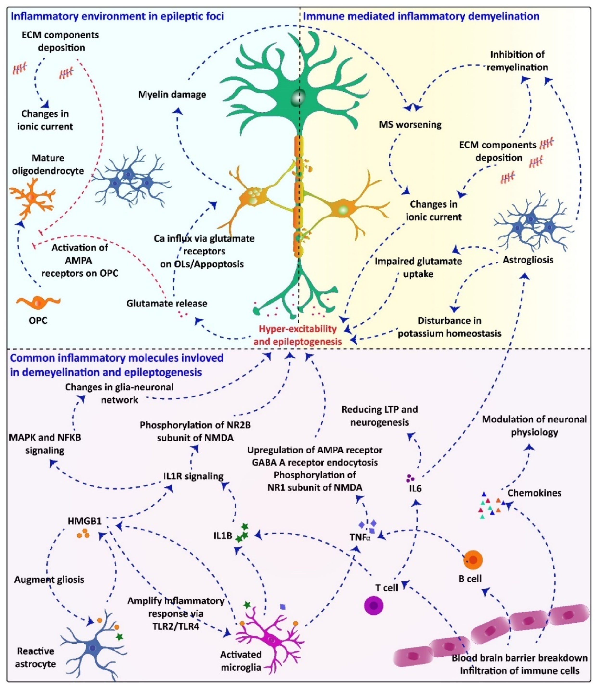 Pharmaceuticals 14 01031 g001 Pharmaceuticals 14 01031 g001