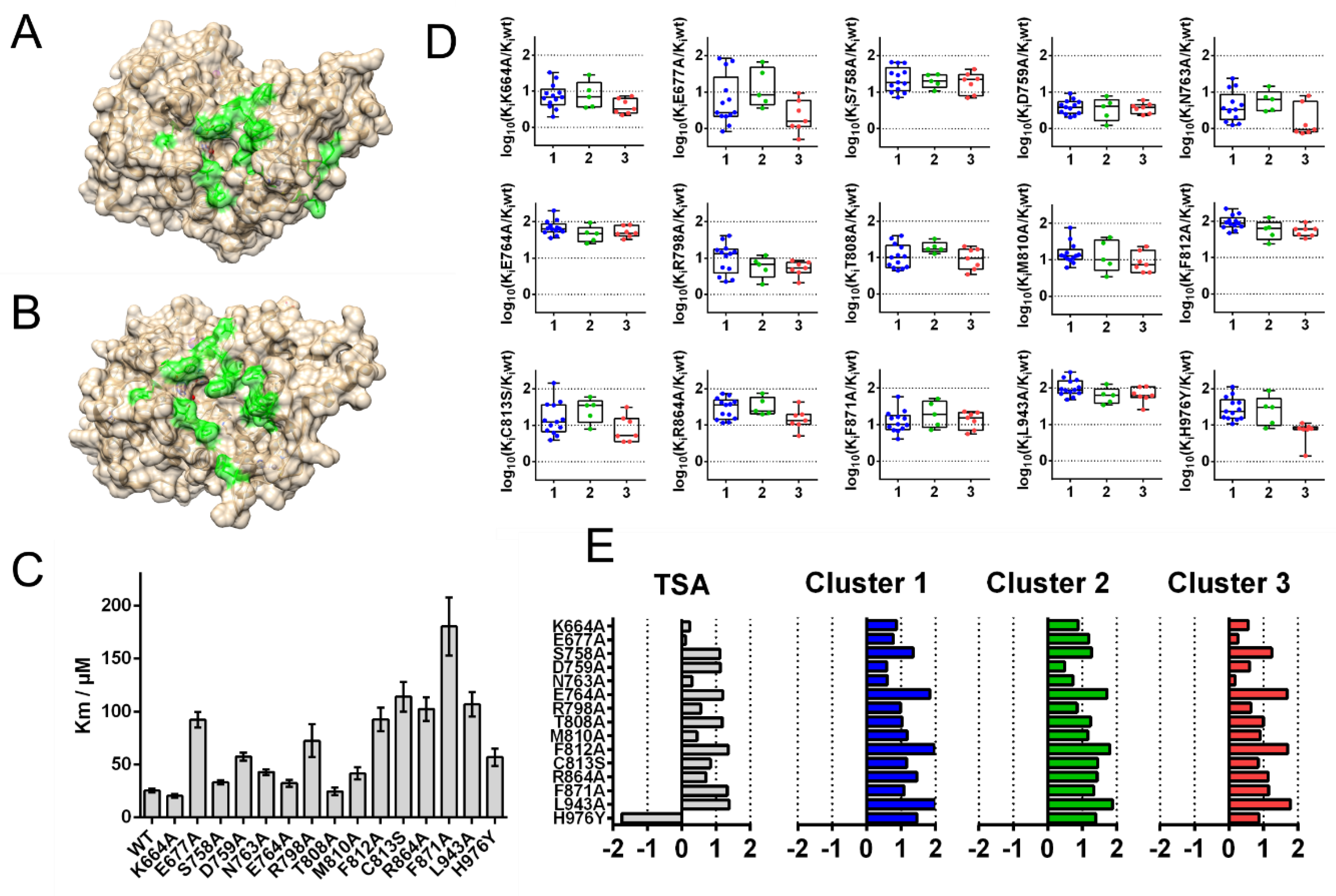 Pharmaceuticals 14 01032 g005 550