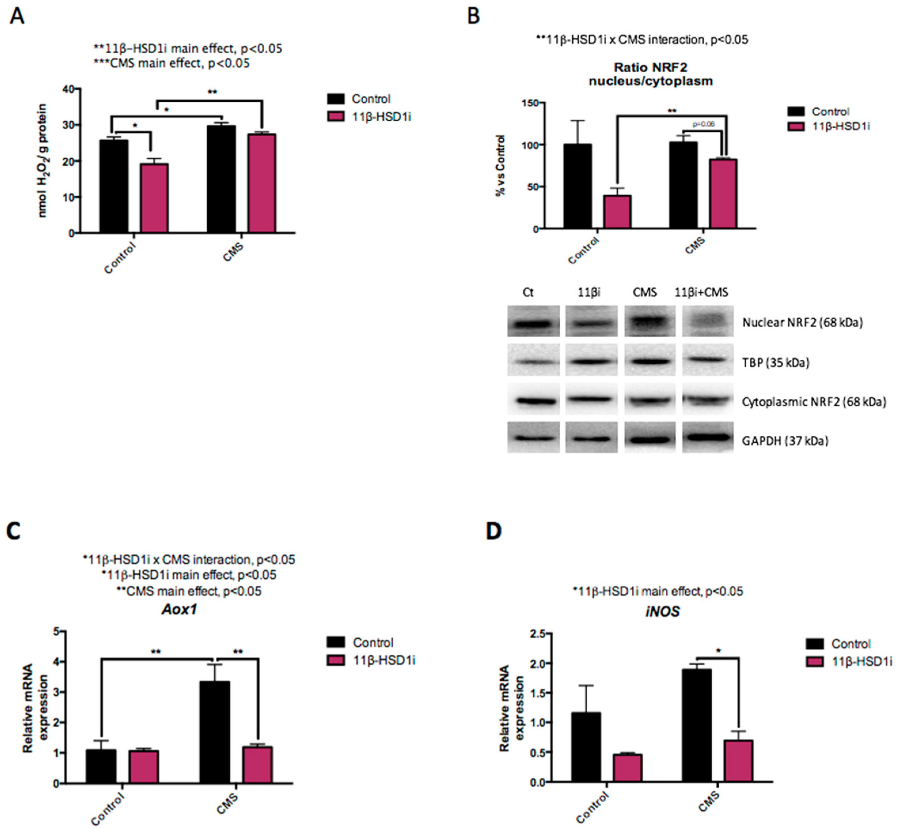 Pharmaceuticals 14 01040 g003