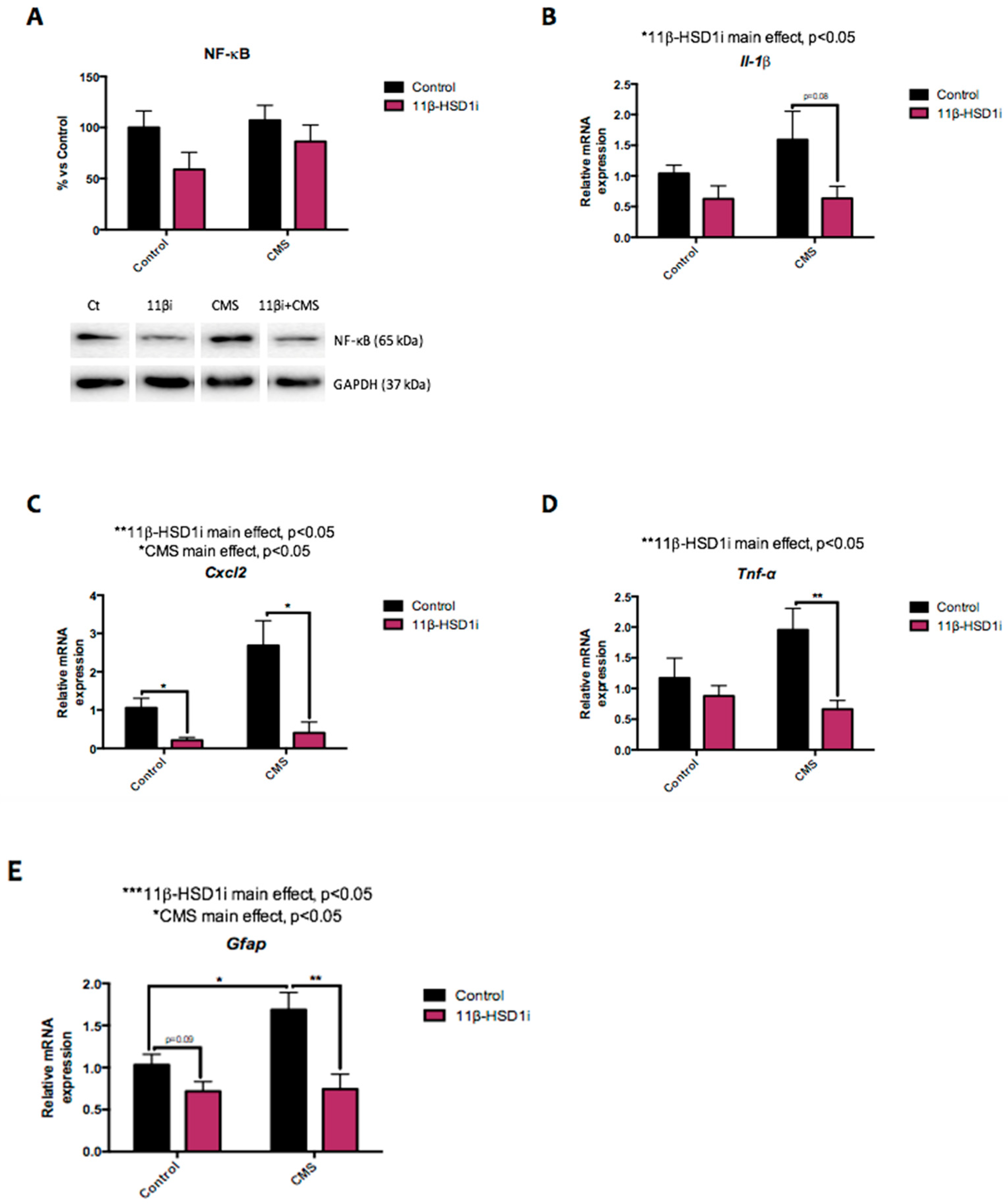 Pharmaceuticals 14 01040 g004