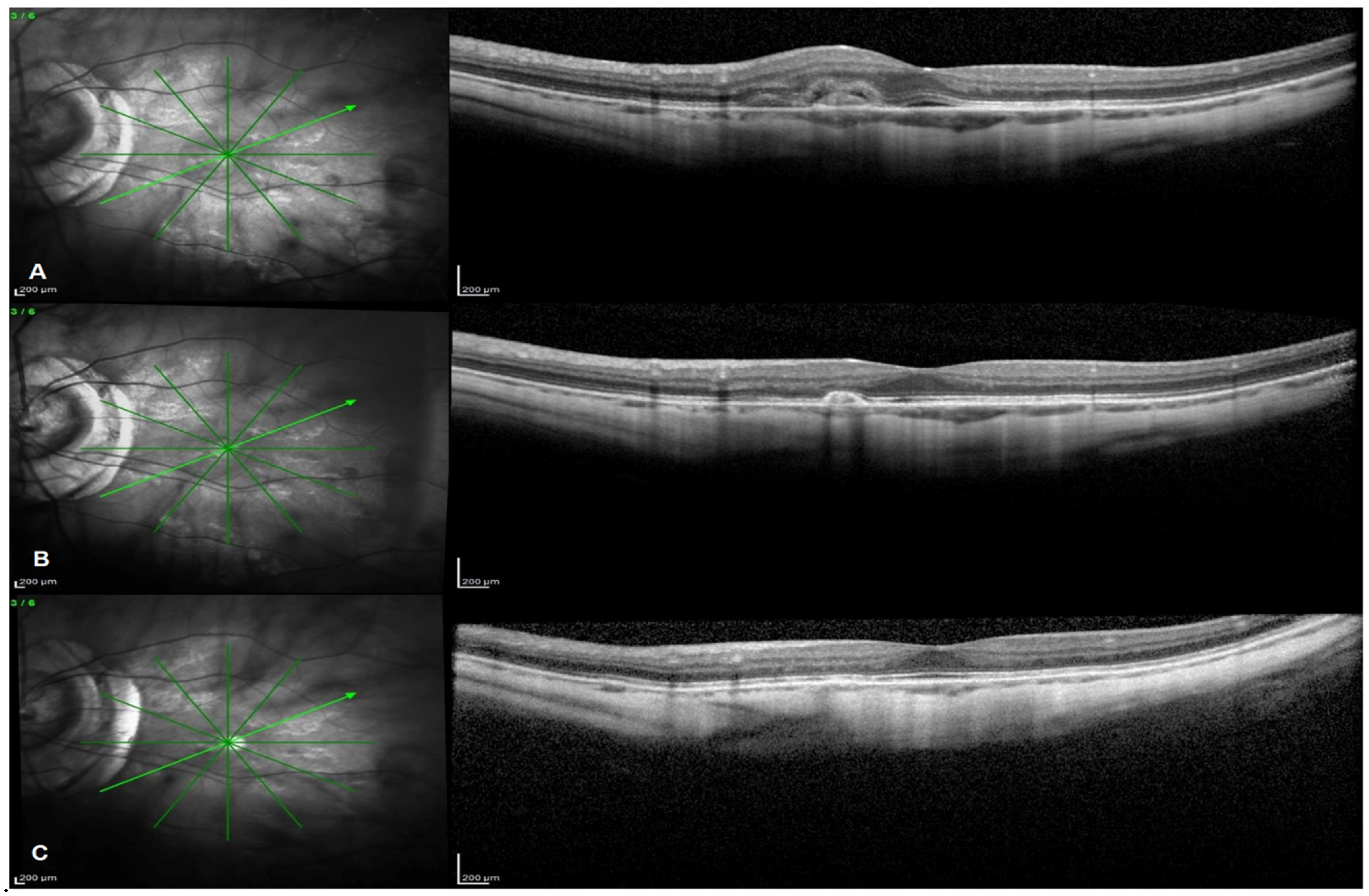 Pharmaceuticals 14 01042 g001