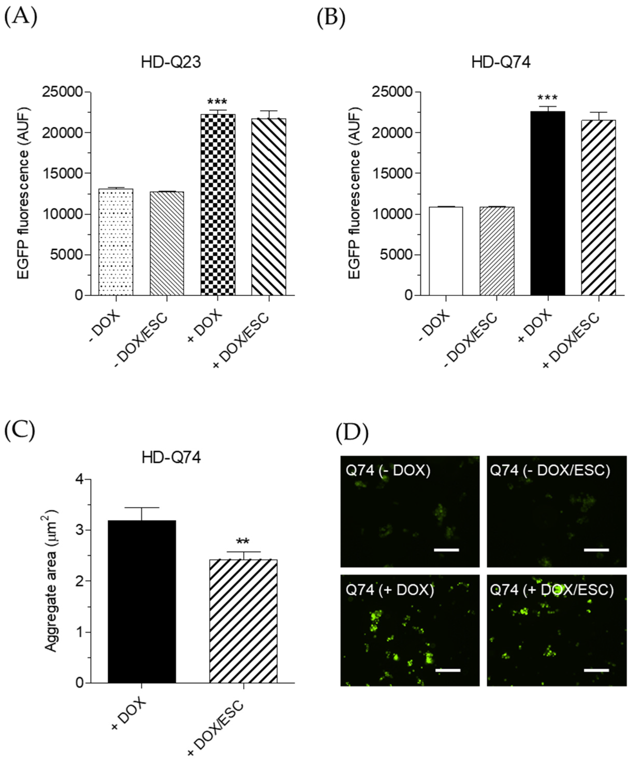 Pharmaceuticals 14 01044 g003 Pharmaceuticals 14 01044 g003