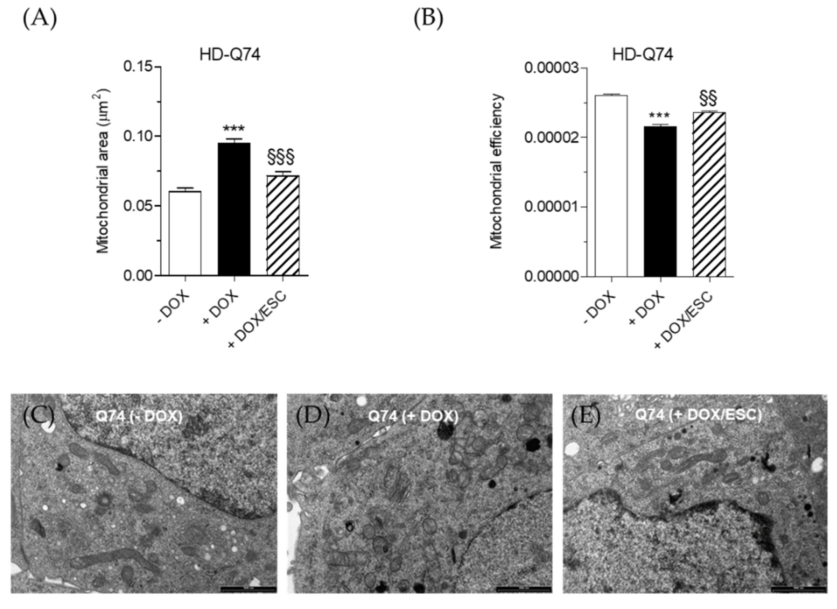 Pharmaceuticals 14 01044 g006 Pharmaceuticals 14 01044 g006