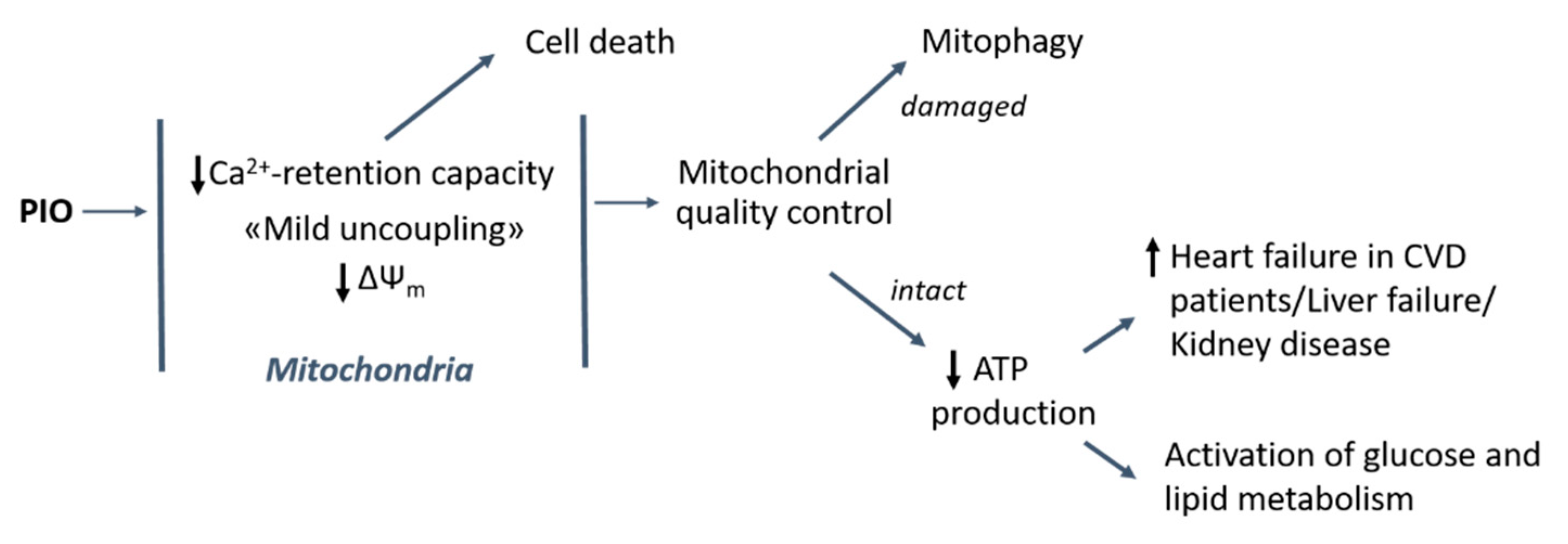 Pharmaceuticals 14 01045 g008