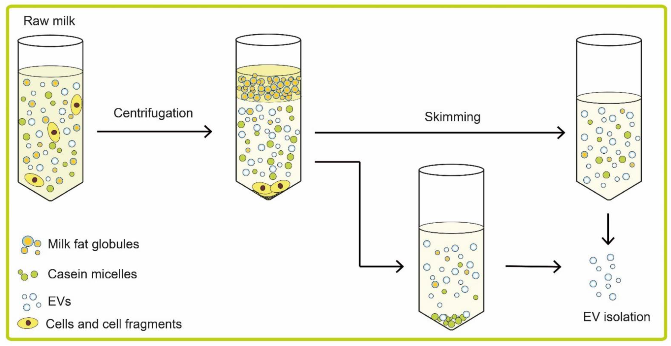 Pharmaceuticals 14 01050 g001