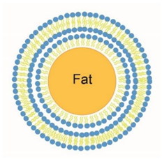 Pharmaceuticals 14 01050 i003