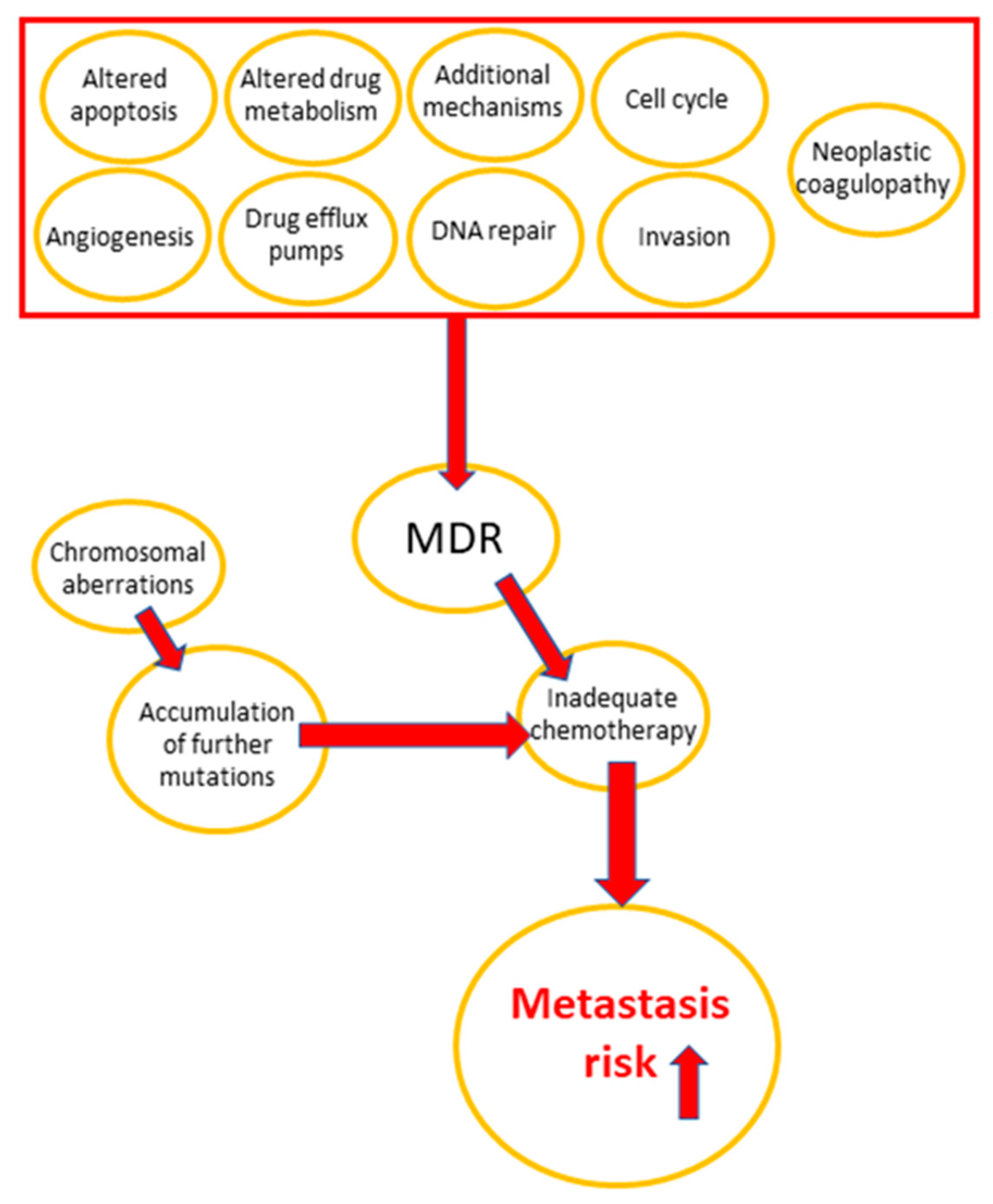 Pharmaceuticals 14 01051 g001