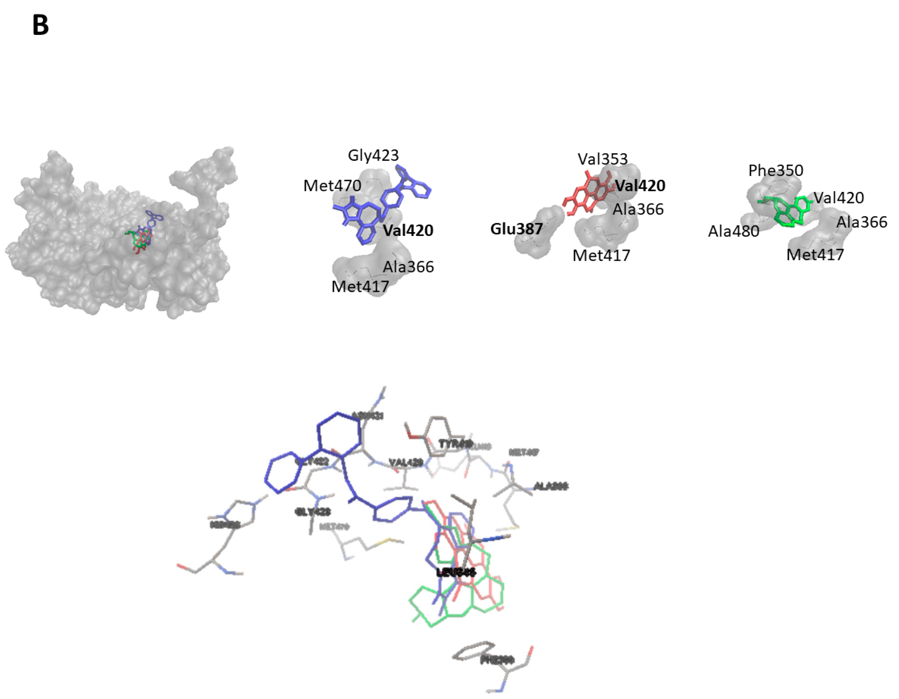 Pharmaceuticals 14 01051 g005b