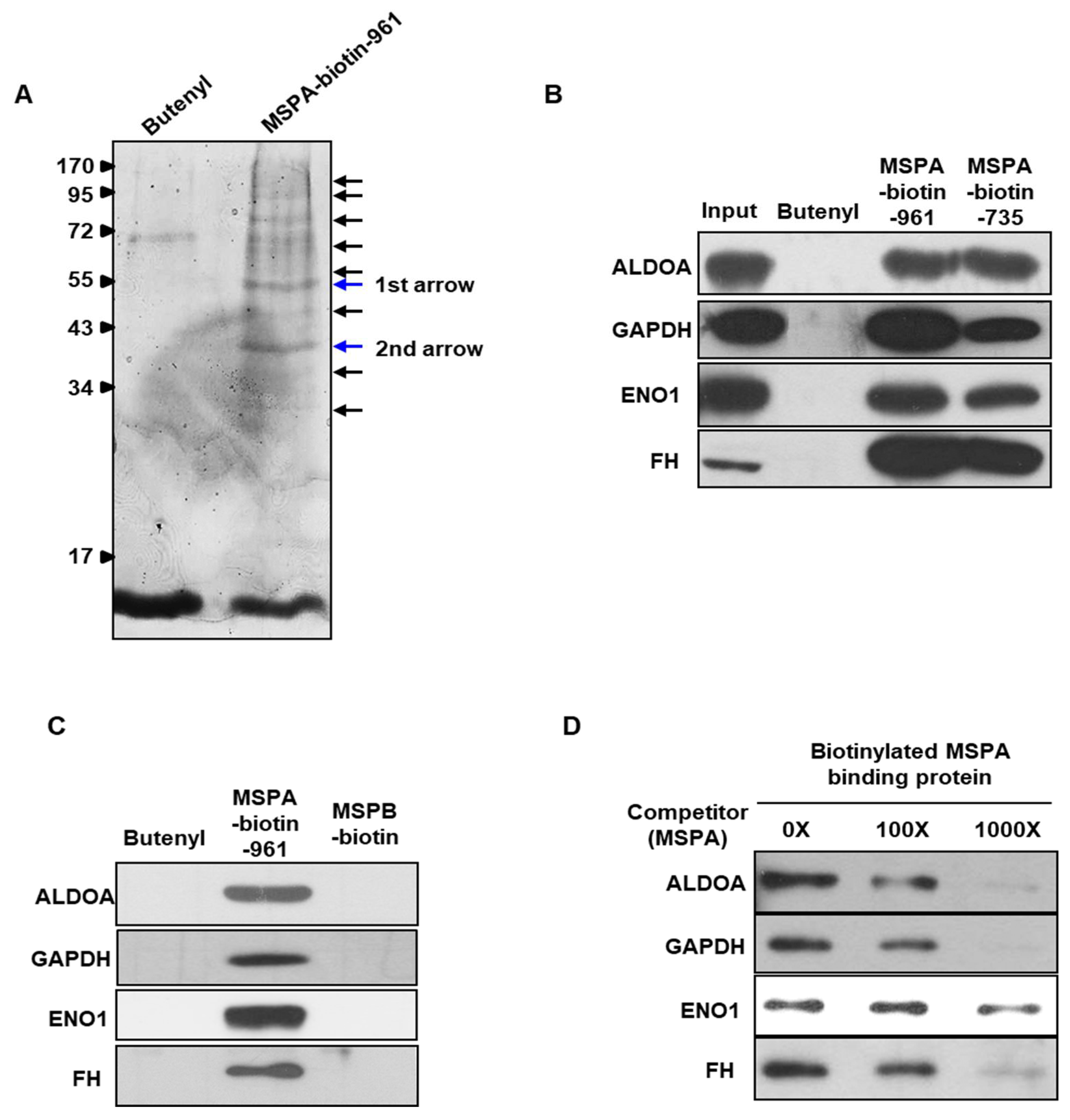 Pharmaceuticals 14 01060 g002 Pharmaceuticals 14 01060 g002