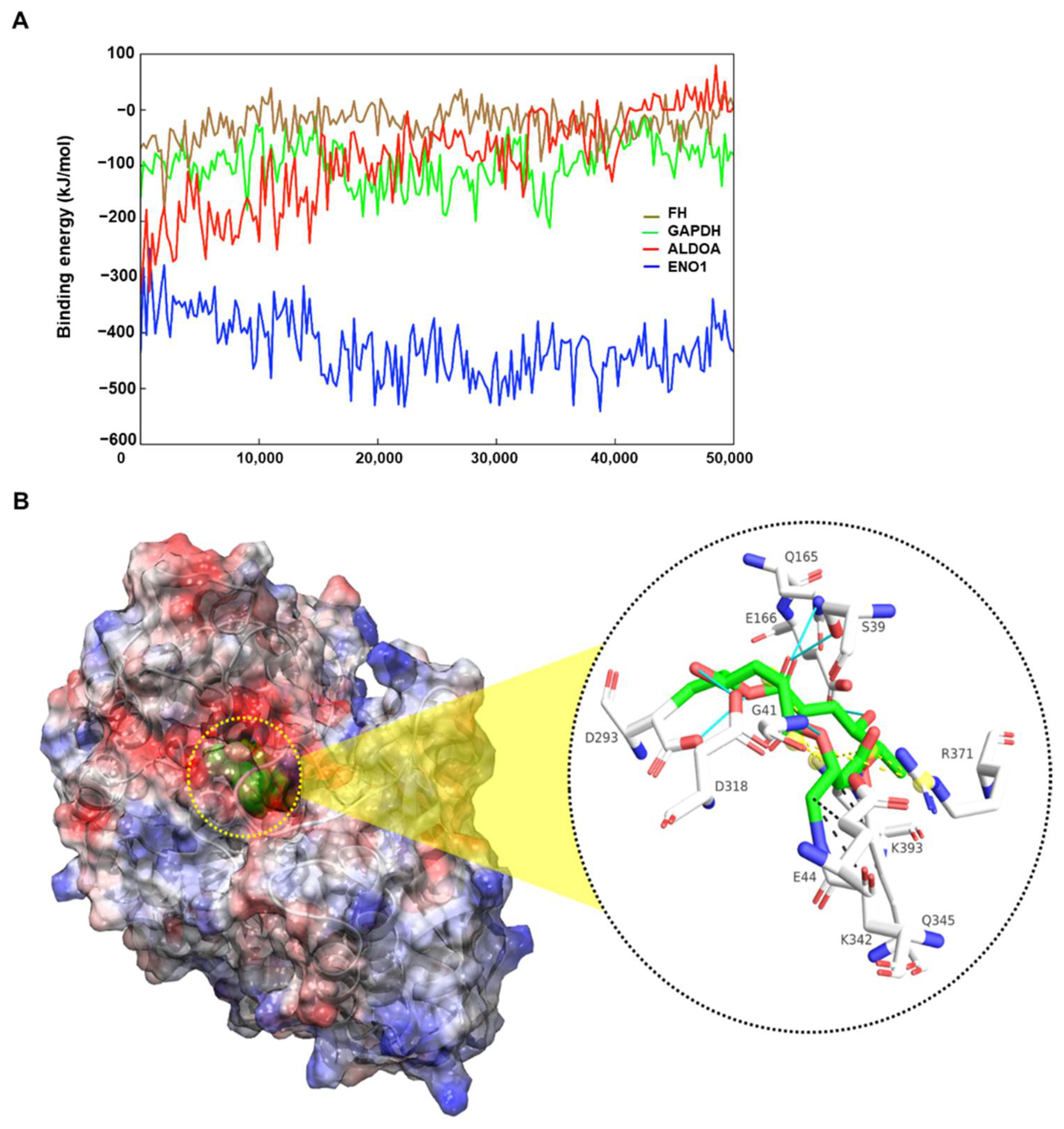 Pharmaceuticals 14 01060 g005 Pharmaceuticals 14 01060 g005