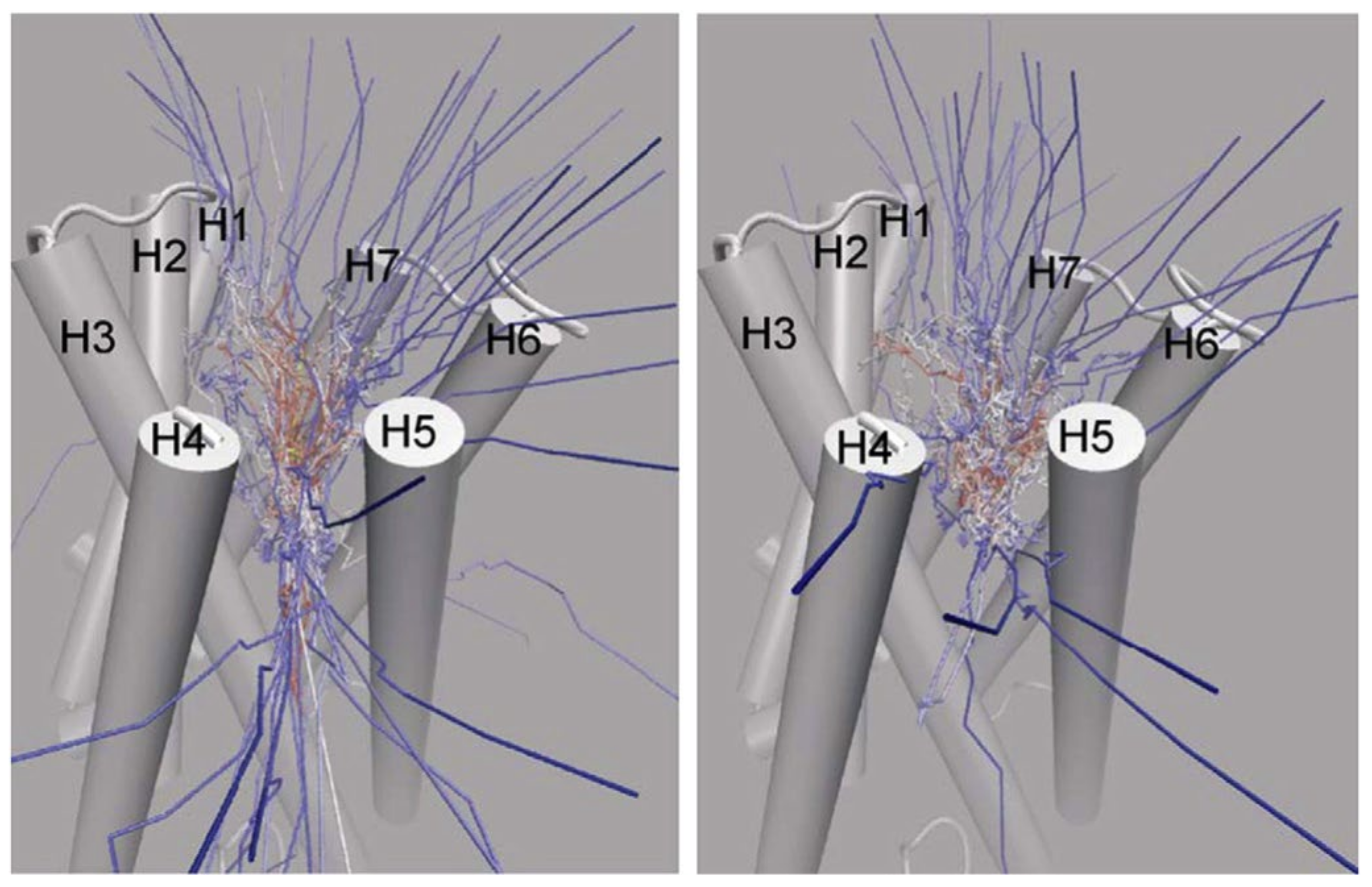 Pharmaceuticals 14 01062 g020