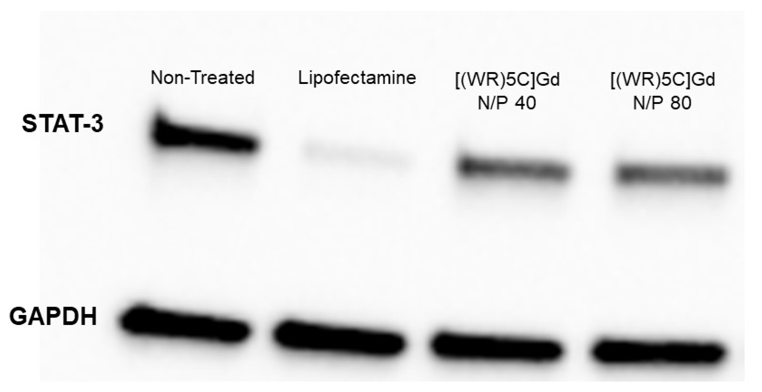 Pharmaceuticals 14 01064 g007