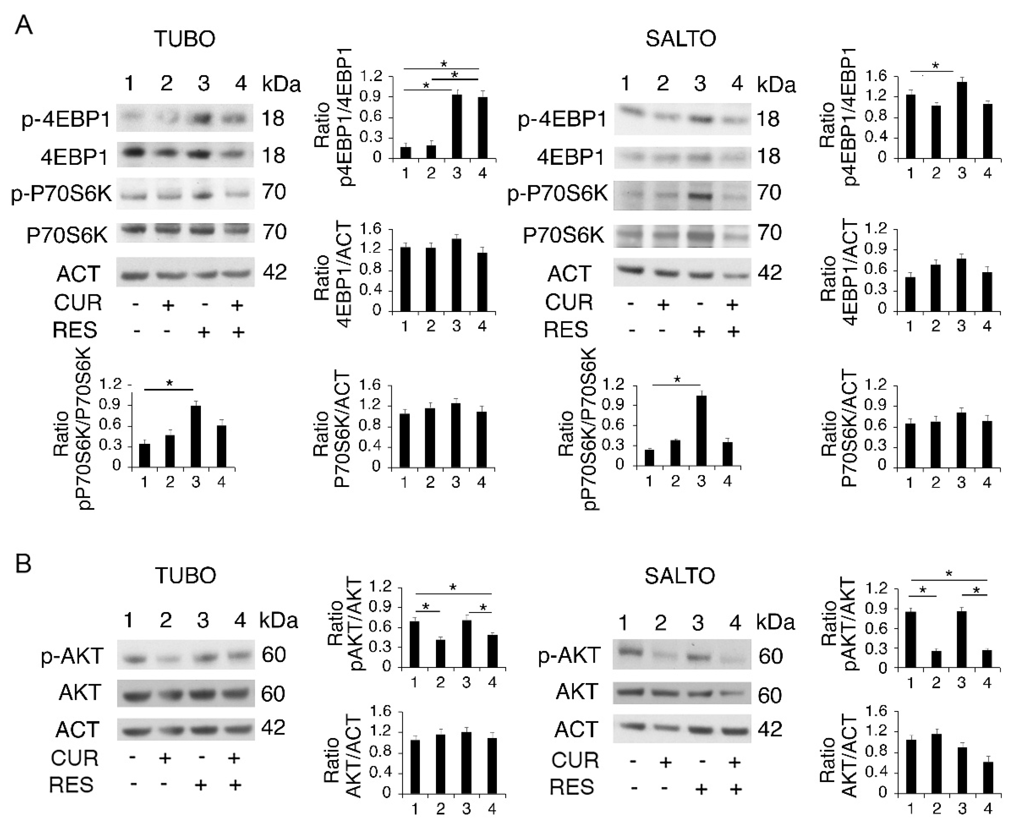Pharmaceuticals 14 01068 g003