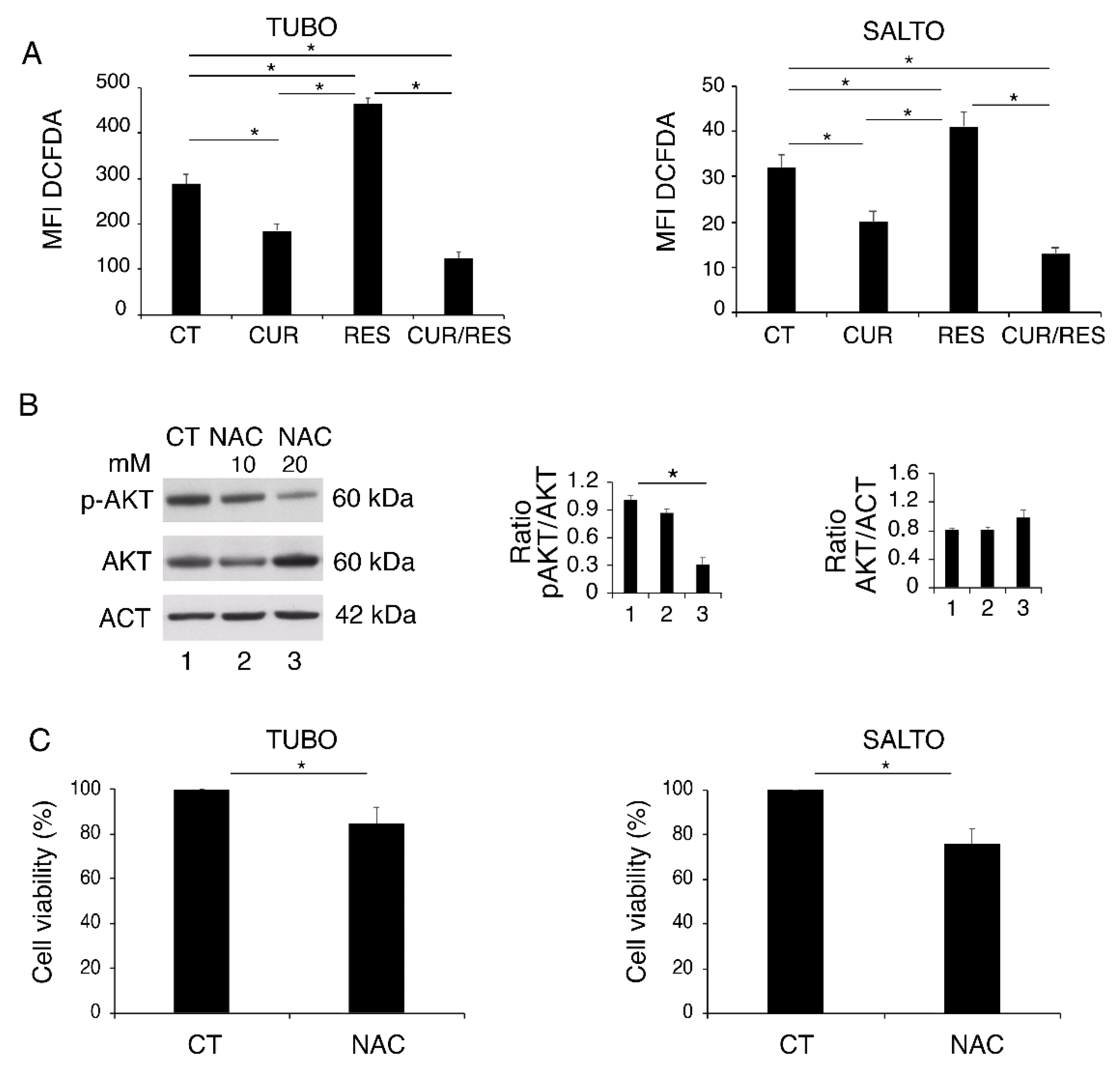Pharmaceuticals 14 01068 g004