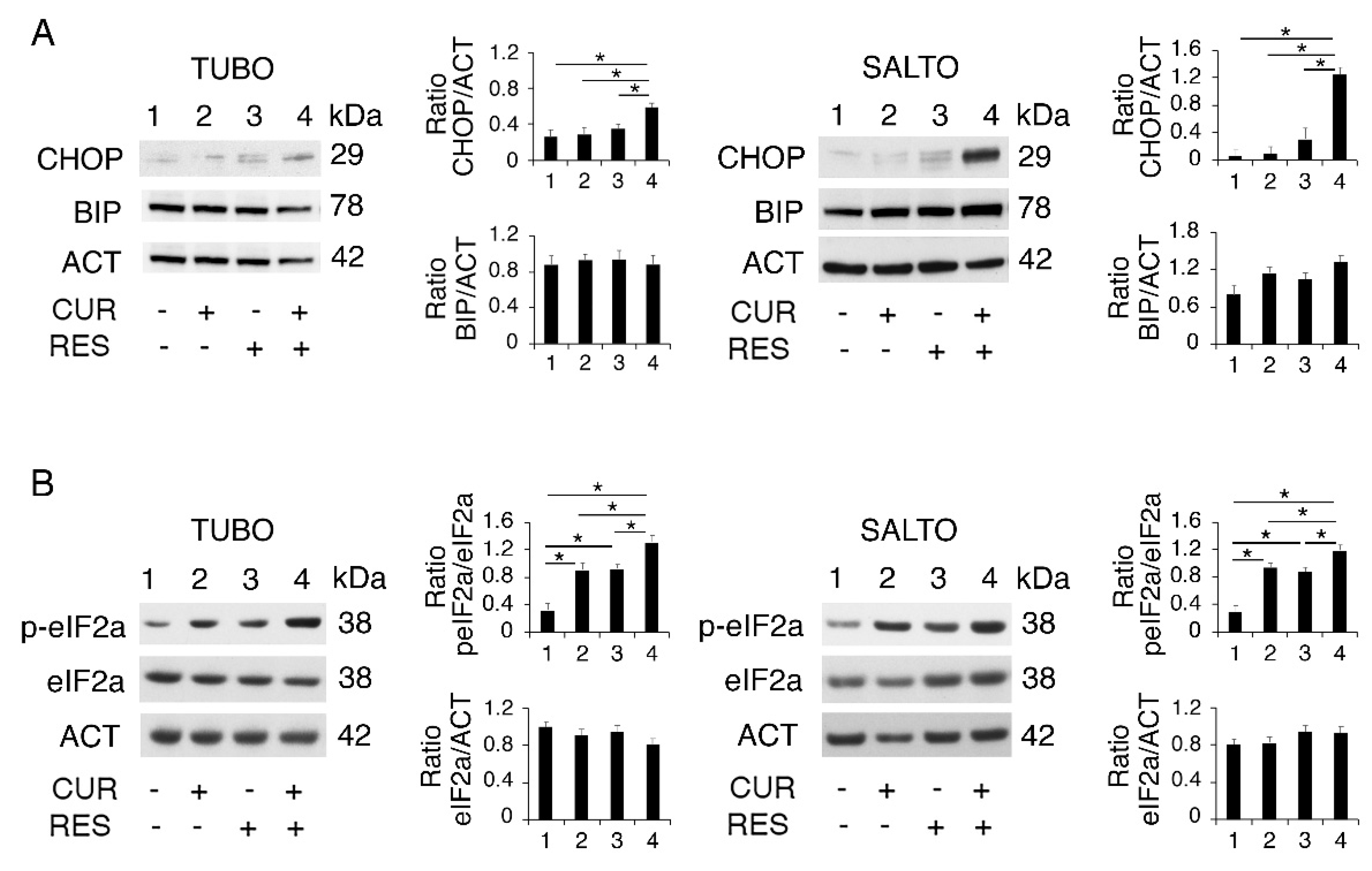Pharmaceuticals 14 01068 g005