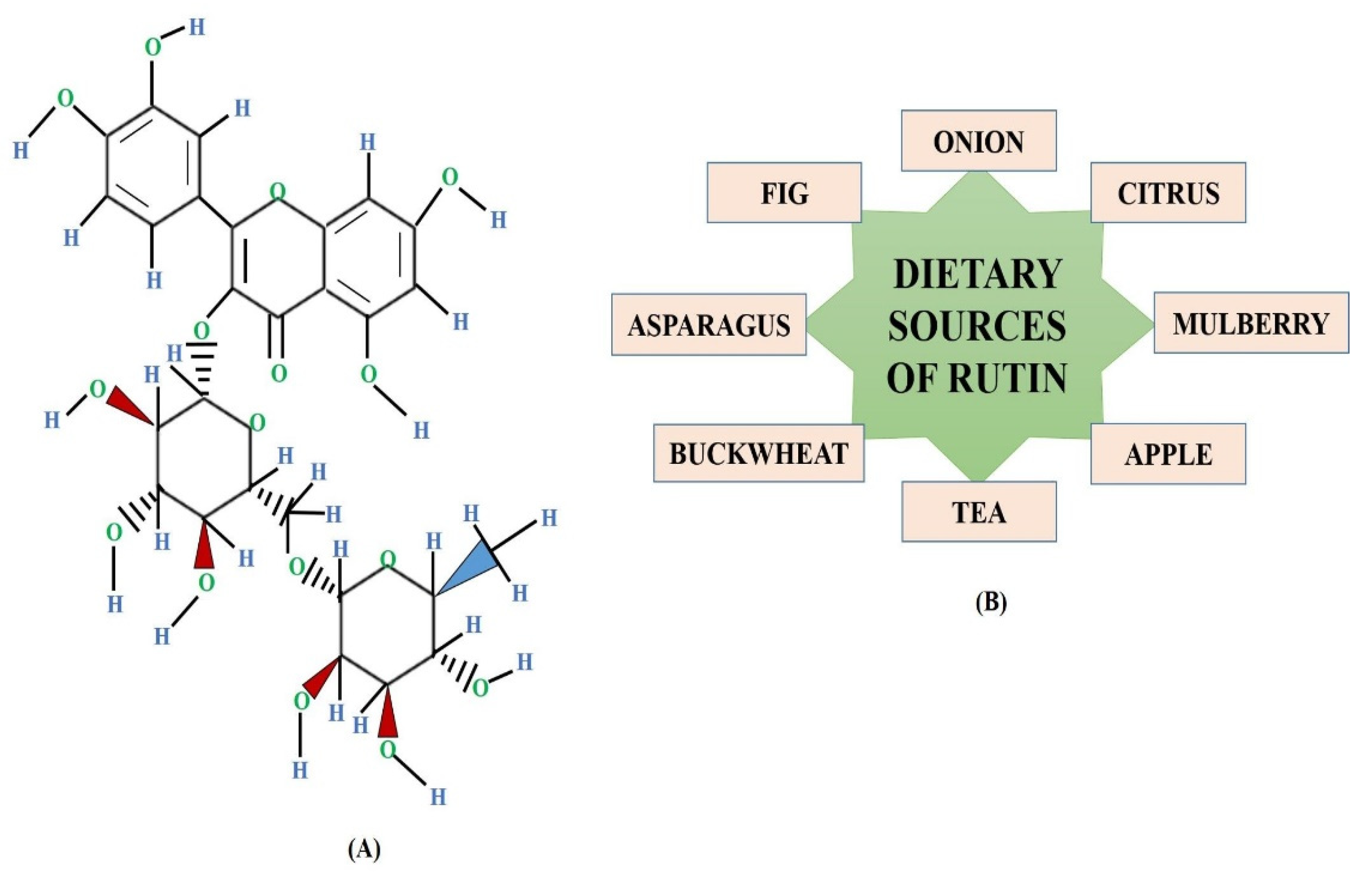 Onion young nude' Rutin (Bioflavonoid) as Cell Signaling Pathway Modulator: Prospects in  Treatment and Chemoprevention