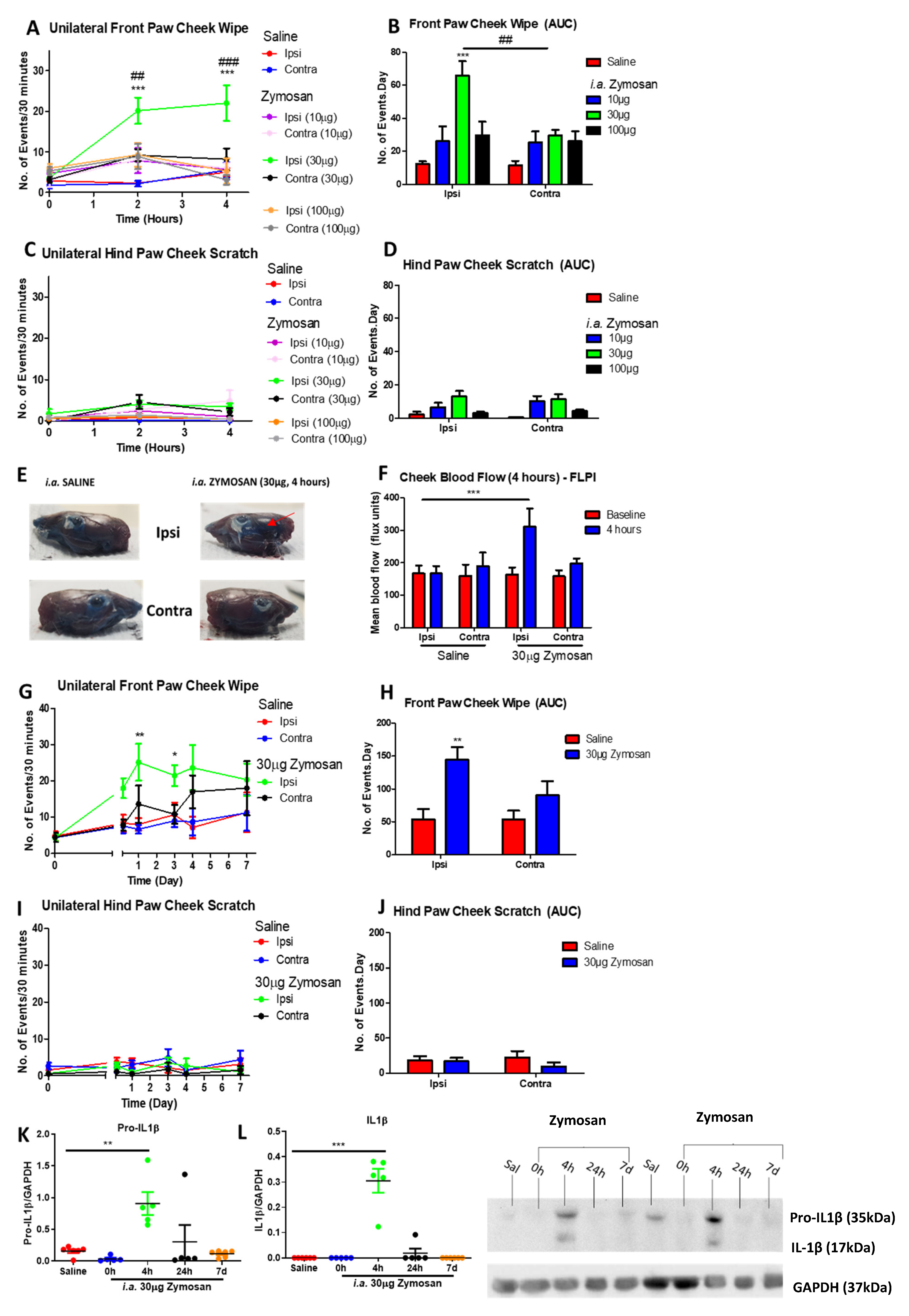 Pharmaceuticals 14 01073 g001