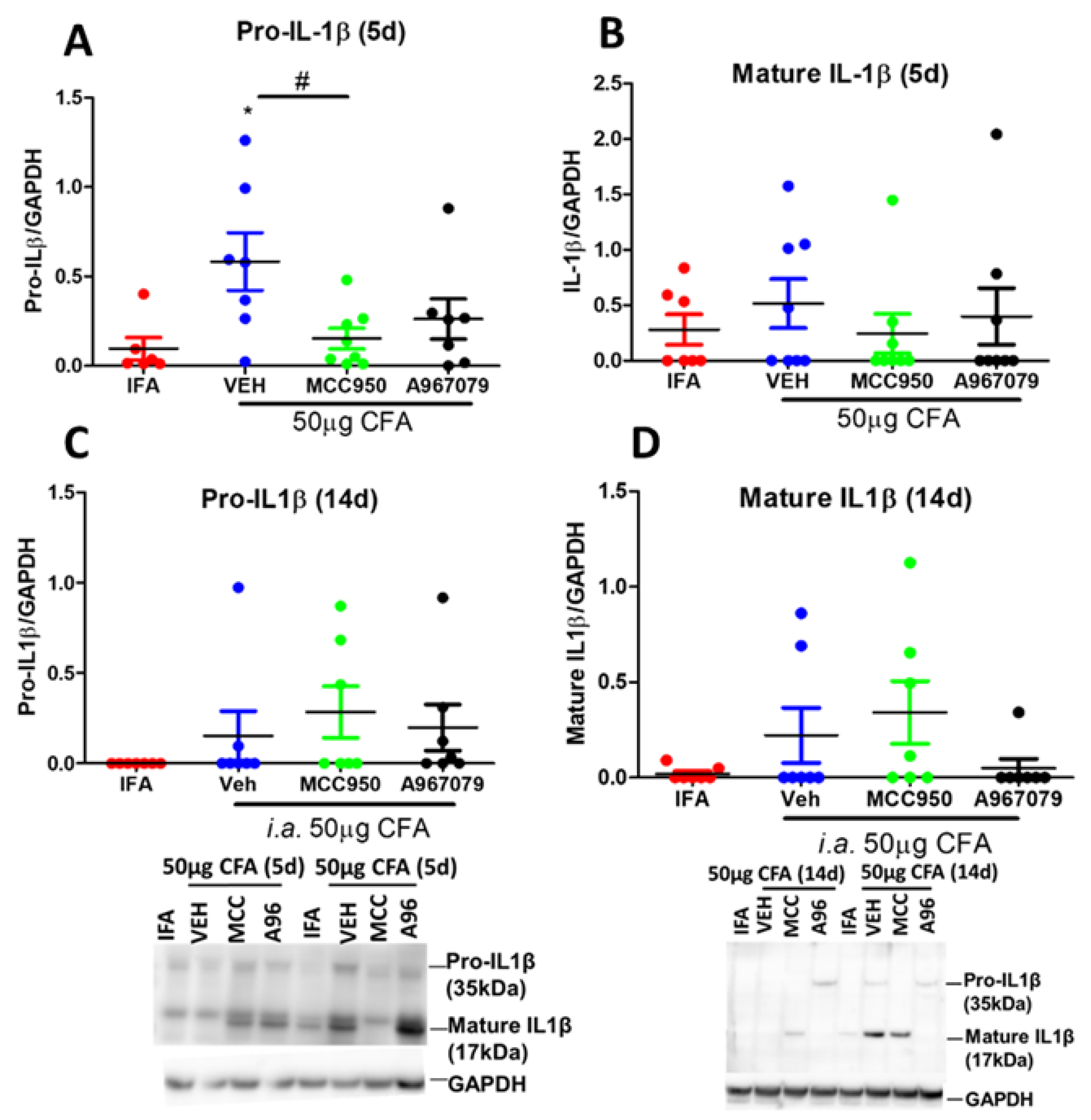 Pharmaceuticals 14 01073 g005