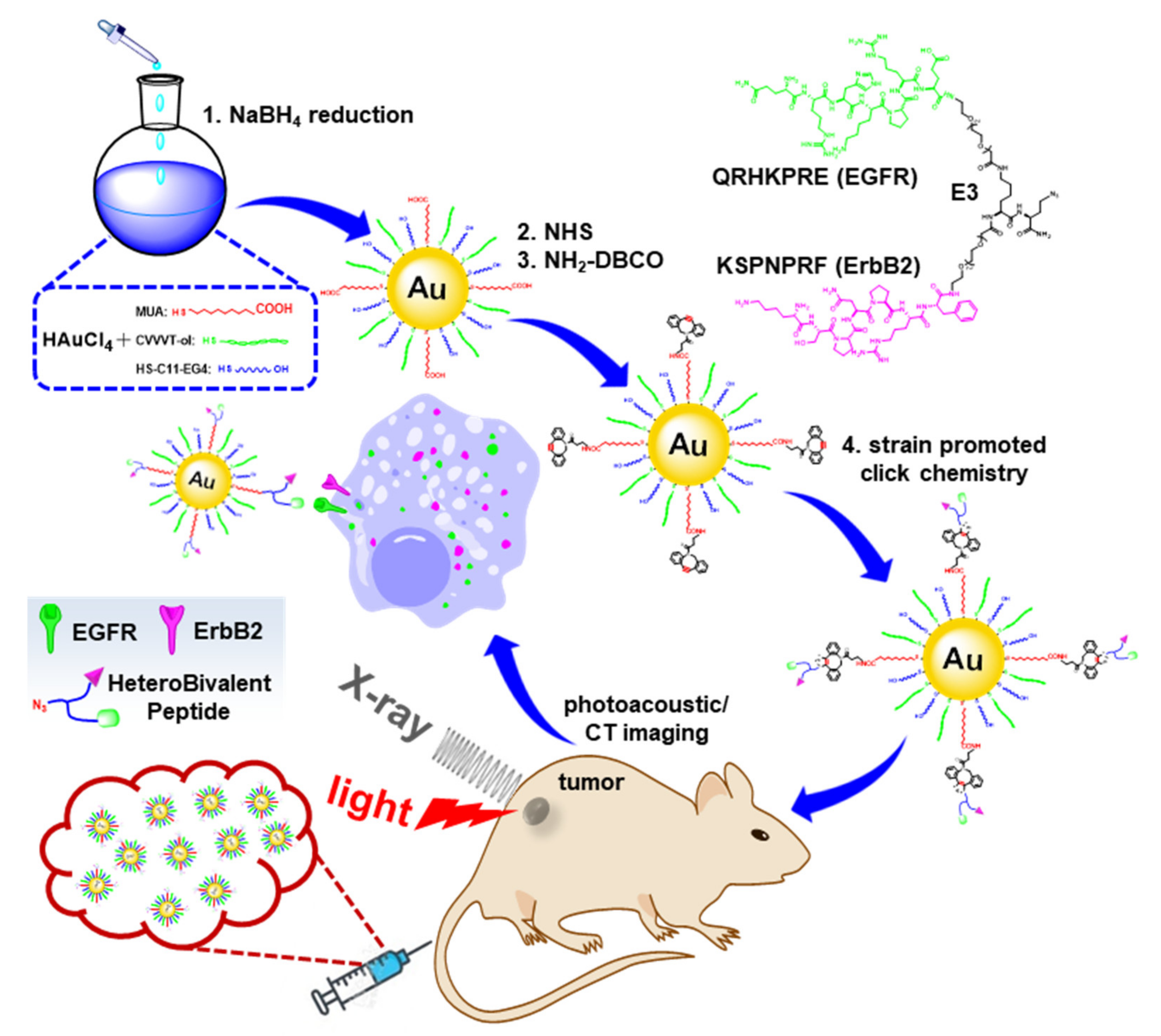Pharmaceuticals 14 01075 g001