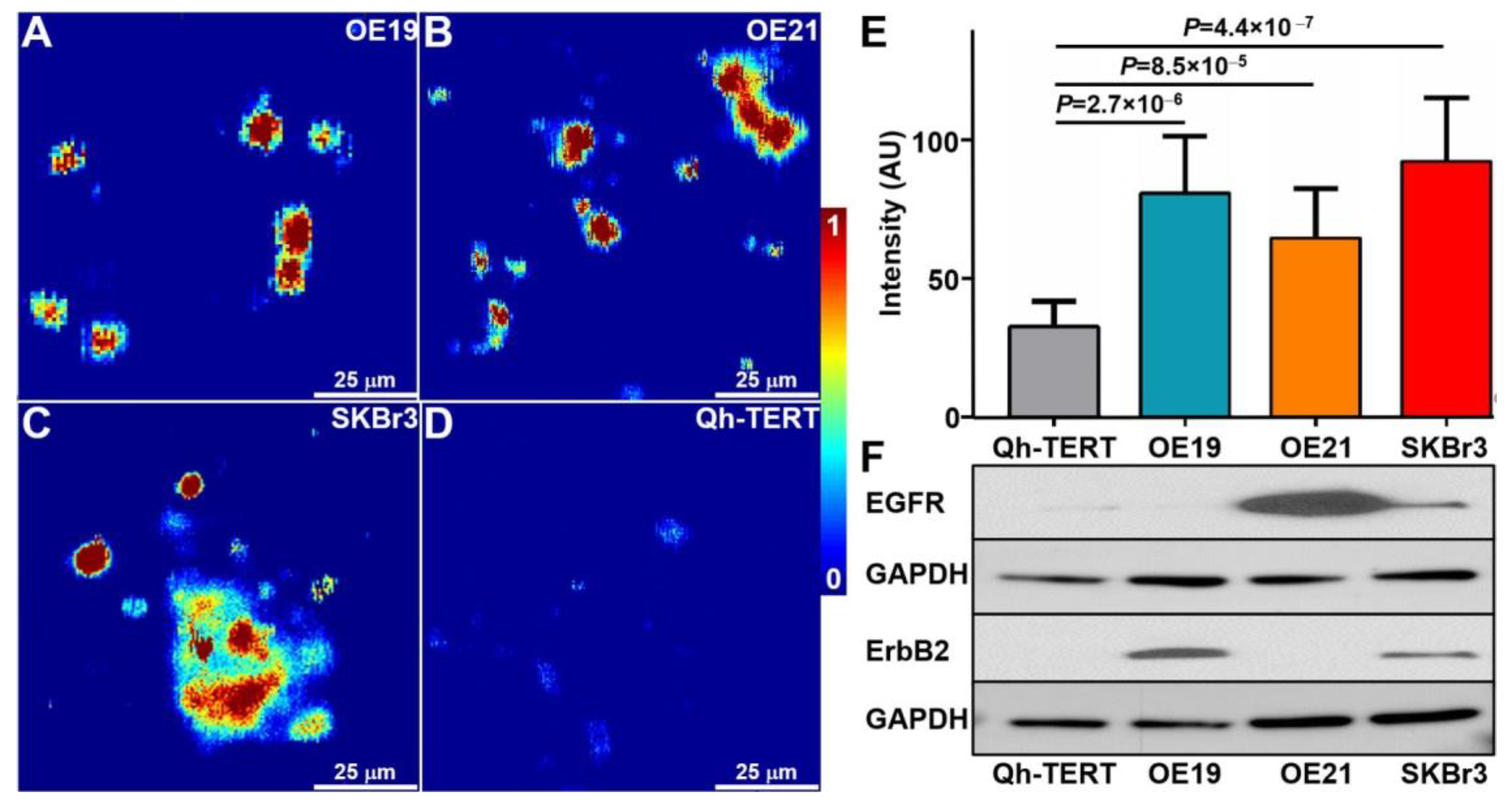 Pharmaceuticals 14 01075 g003