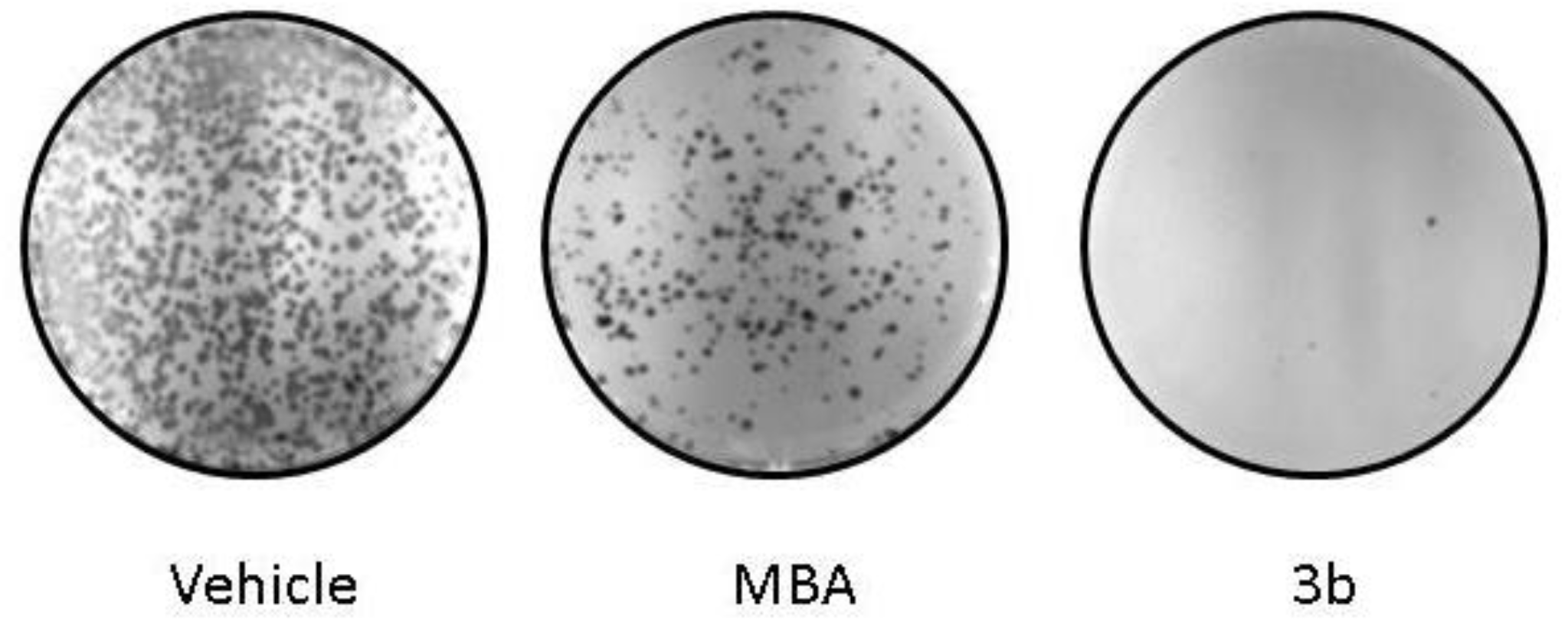 Pharmaceuticals 14 01079 g004