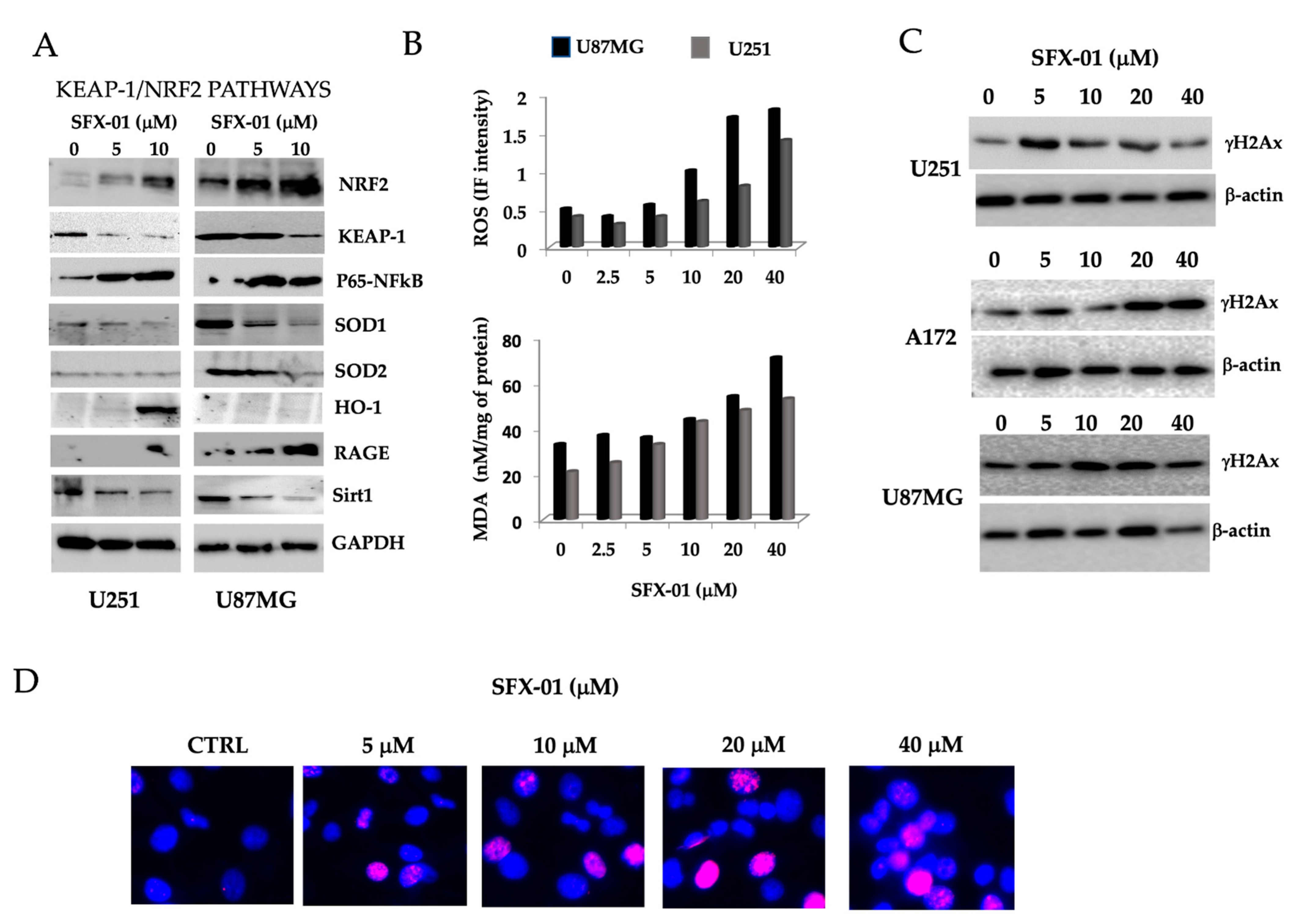 Pharmaceuticals 14 01082 g005
