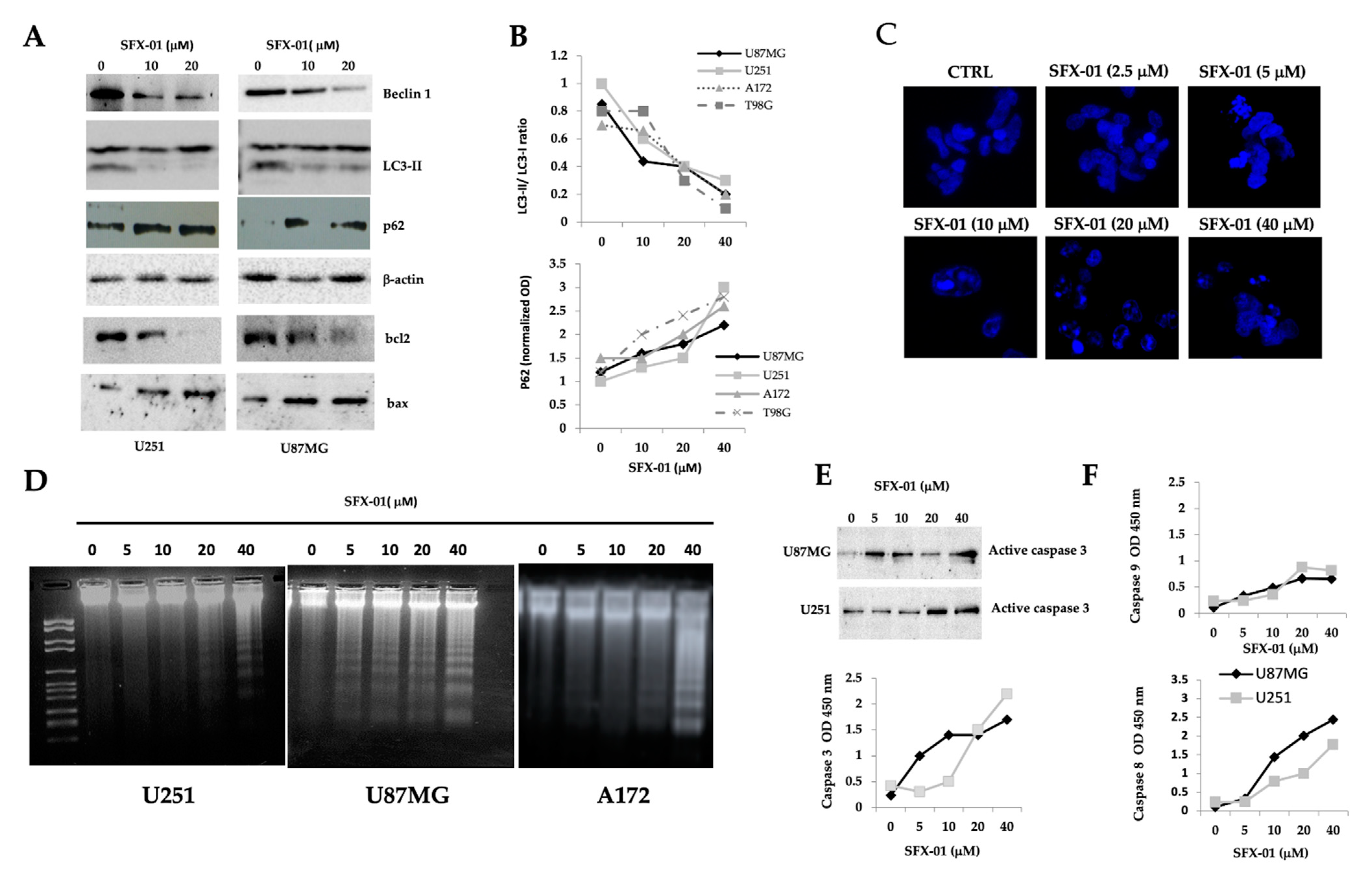 Pharmaceuticals 14 01082 g006
