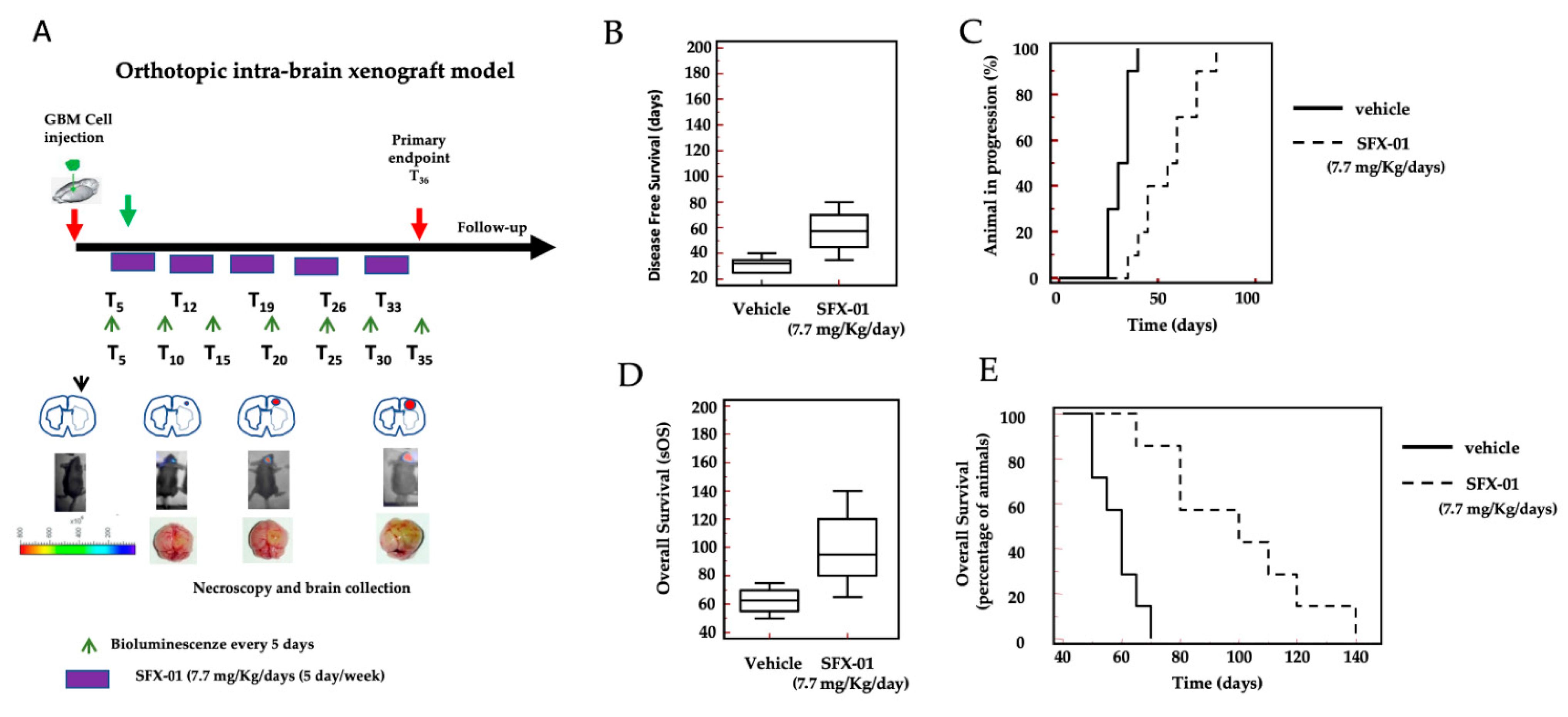Pharmaceuticals 14 01082 g008