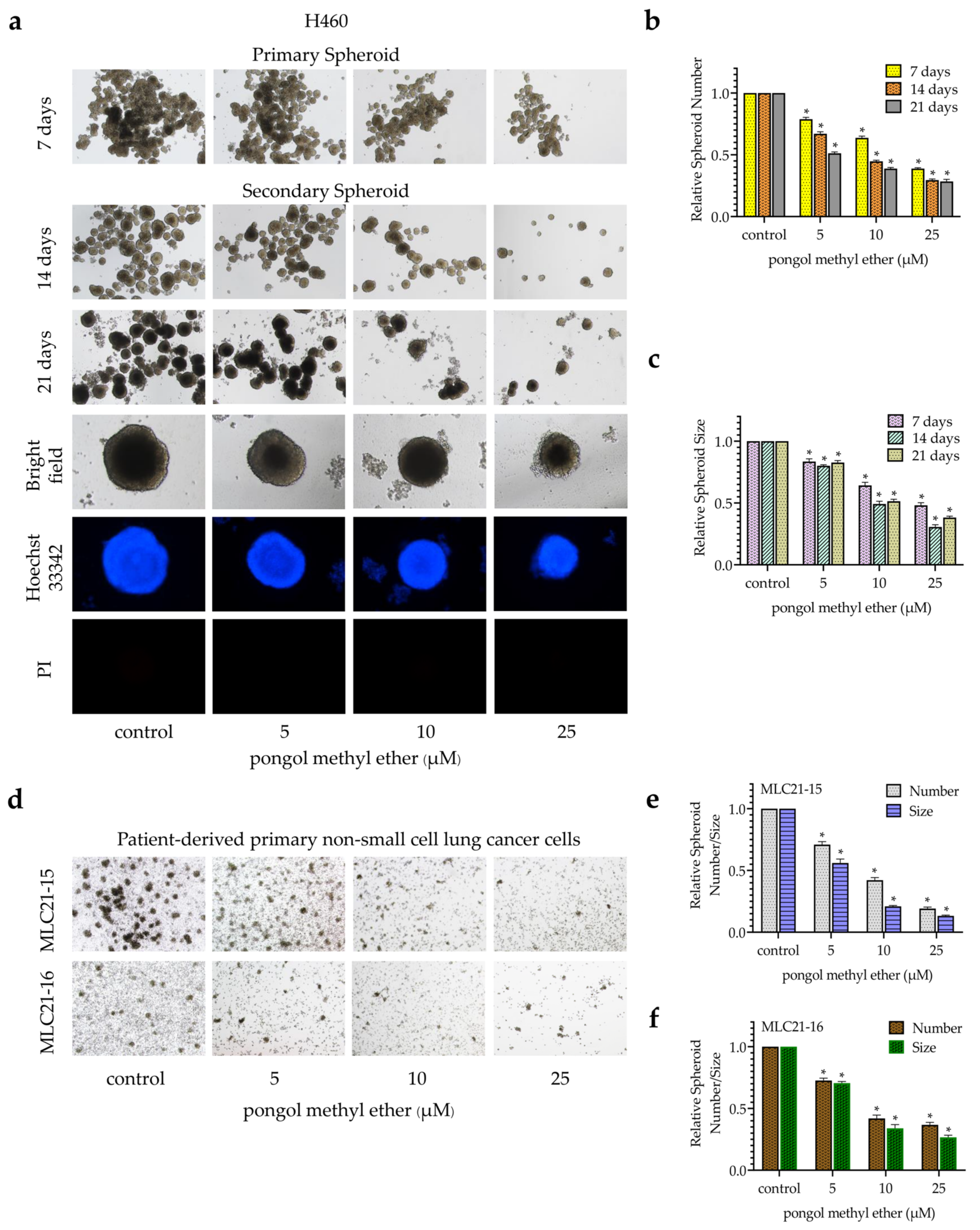 Pharmaceuticals 14 01085 g003