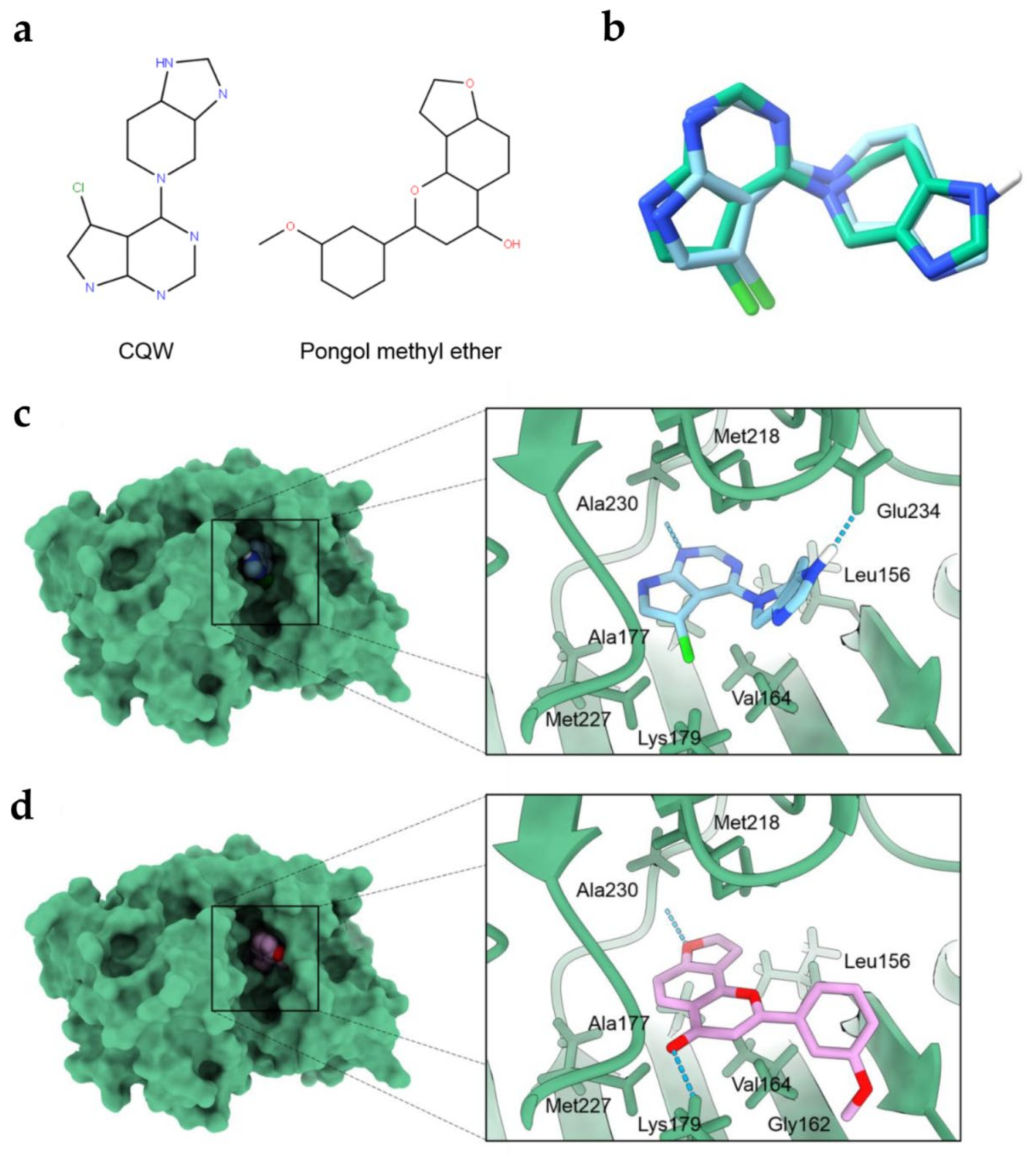 Pharmaceuticals 14 01085 g006