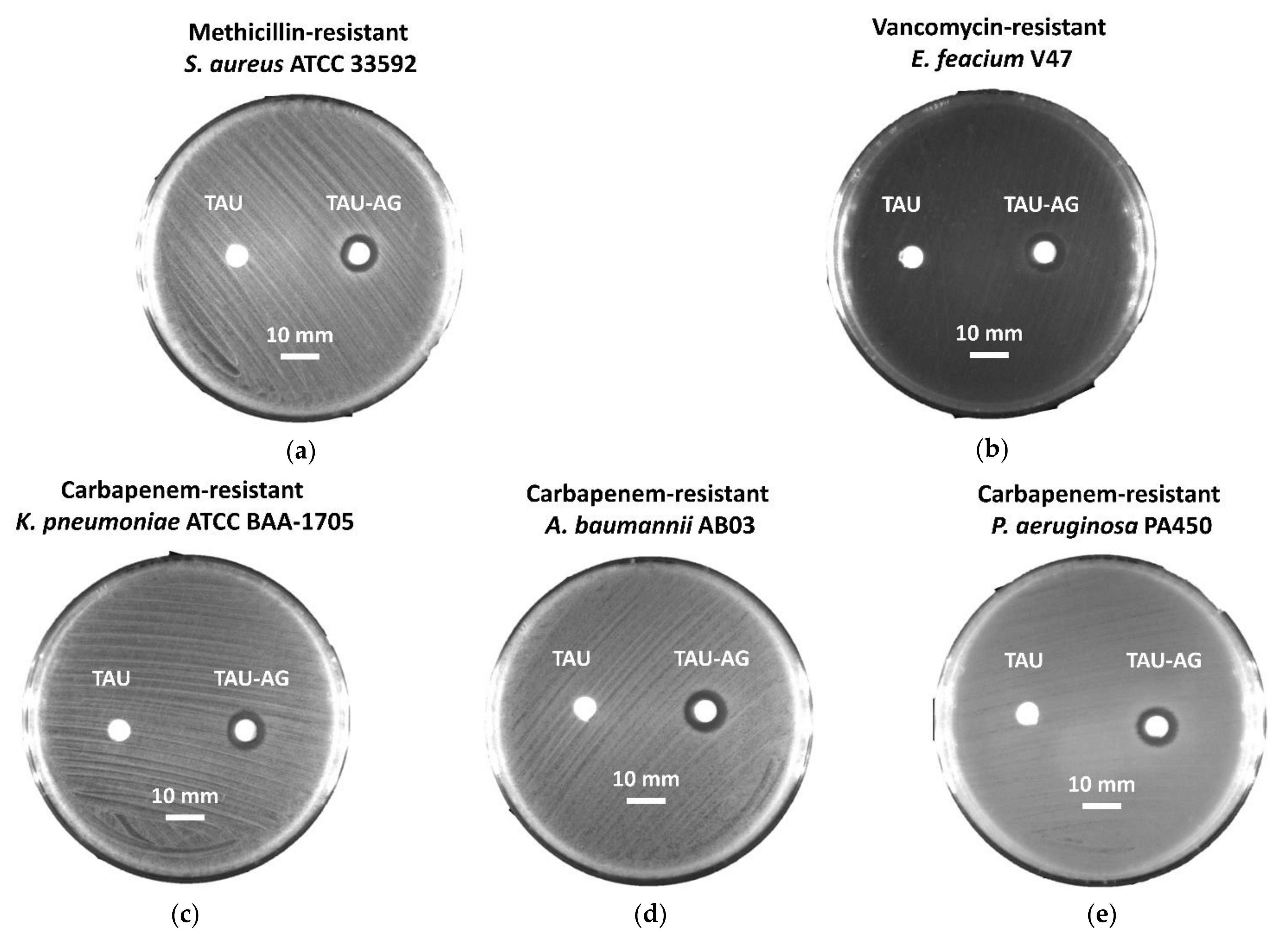Pharmaceuticals 14 01094 g008