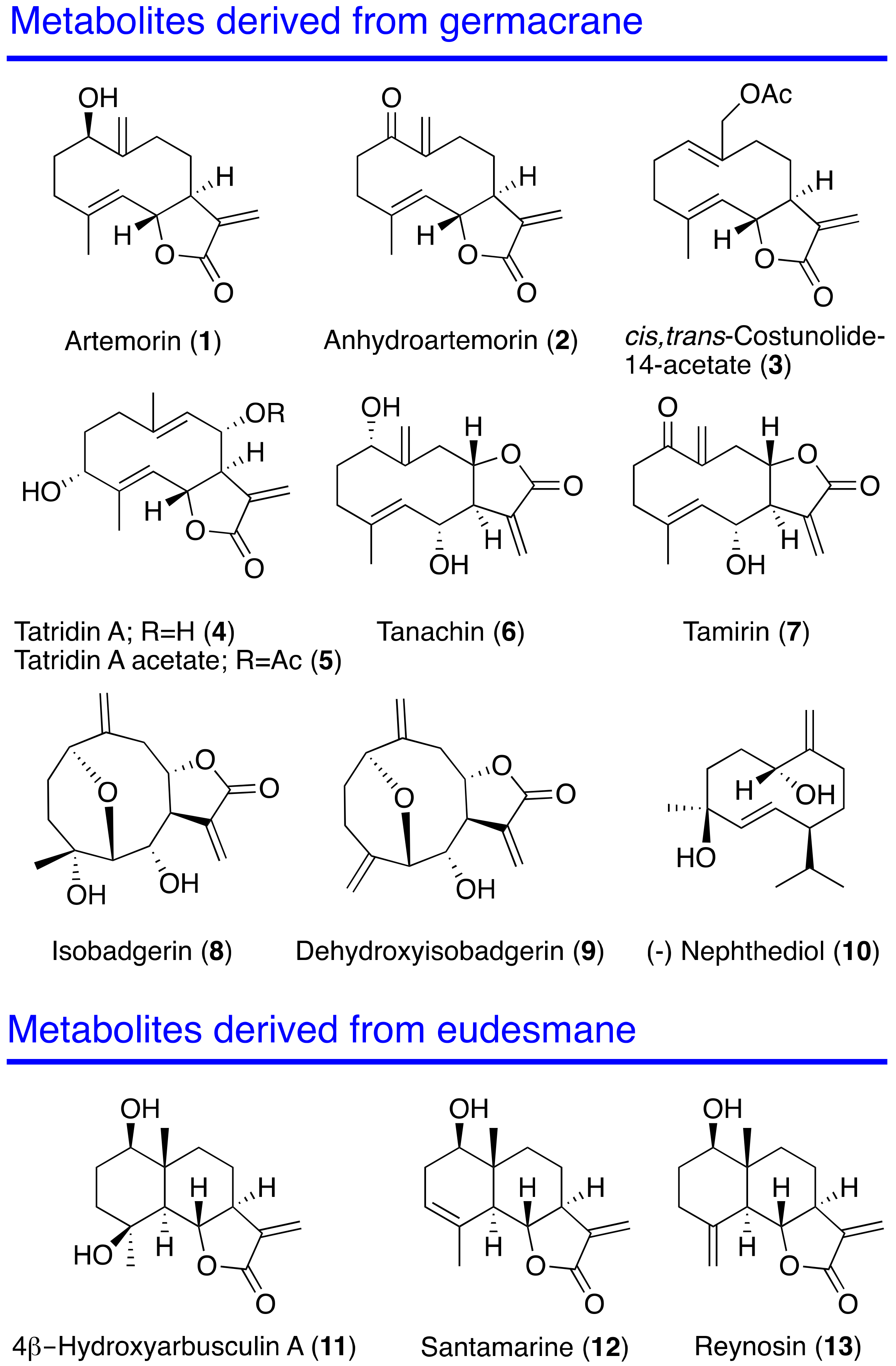 Pharmaceuticals 14 01095 g001 Pharmaceuticals 14 01095 g001