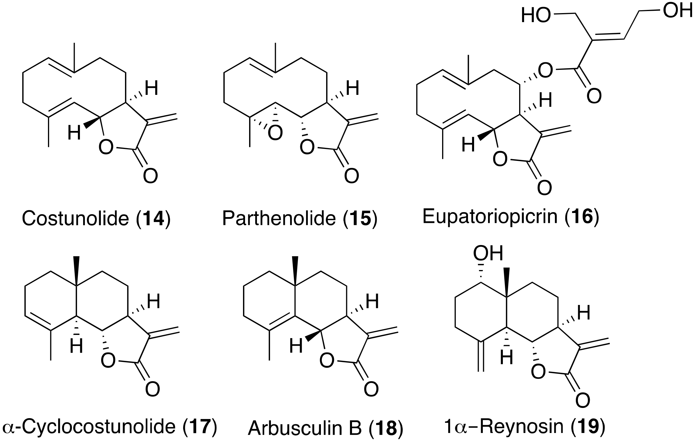 Pharmaceuticals 14 01095 g007 Pharmaceuticals 14 01095 g007