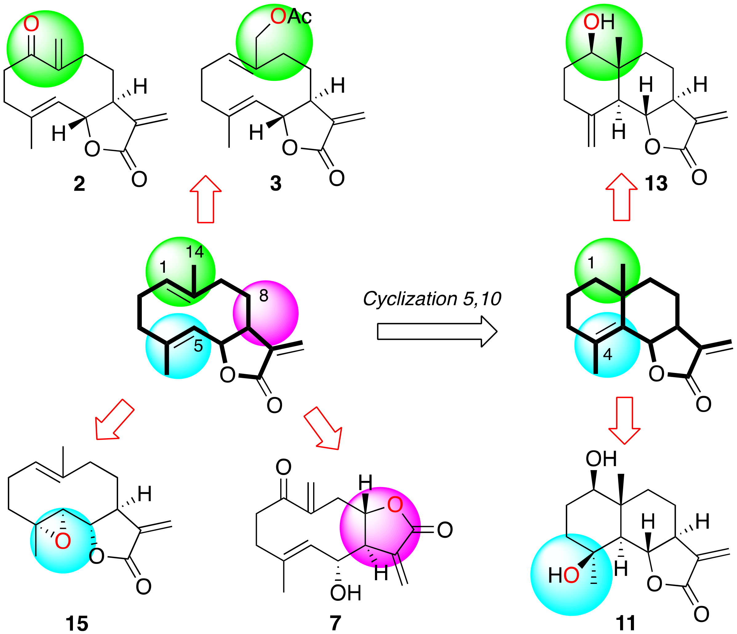 Pharmaceuticals 14 01095 g009 Pharmaceuticals 14 01095 g009