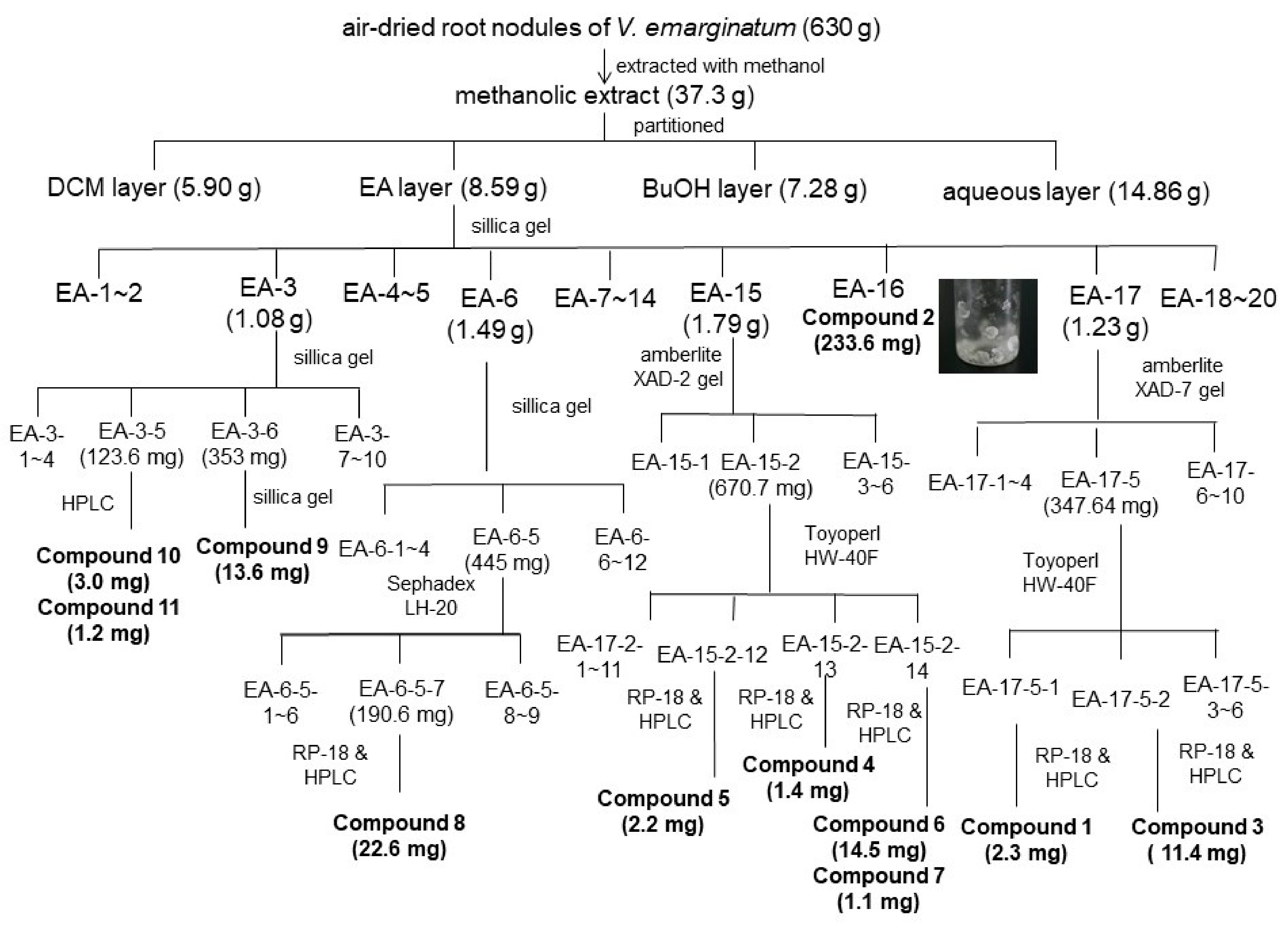 Pharmaceuticals 14 01098 g004
