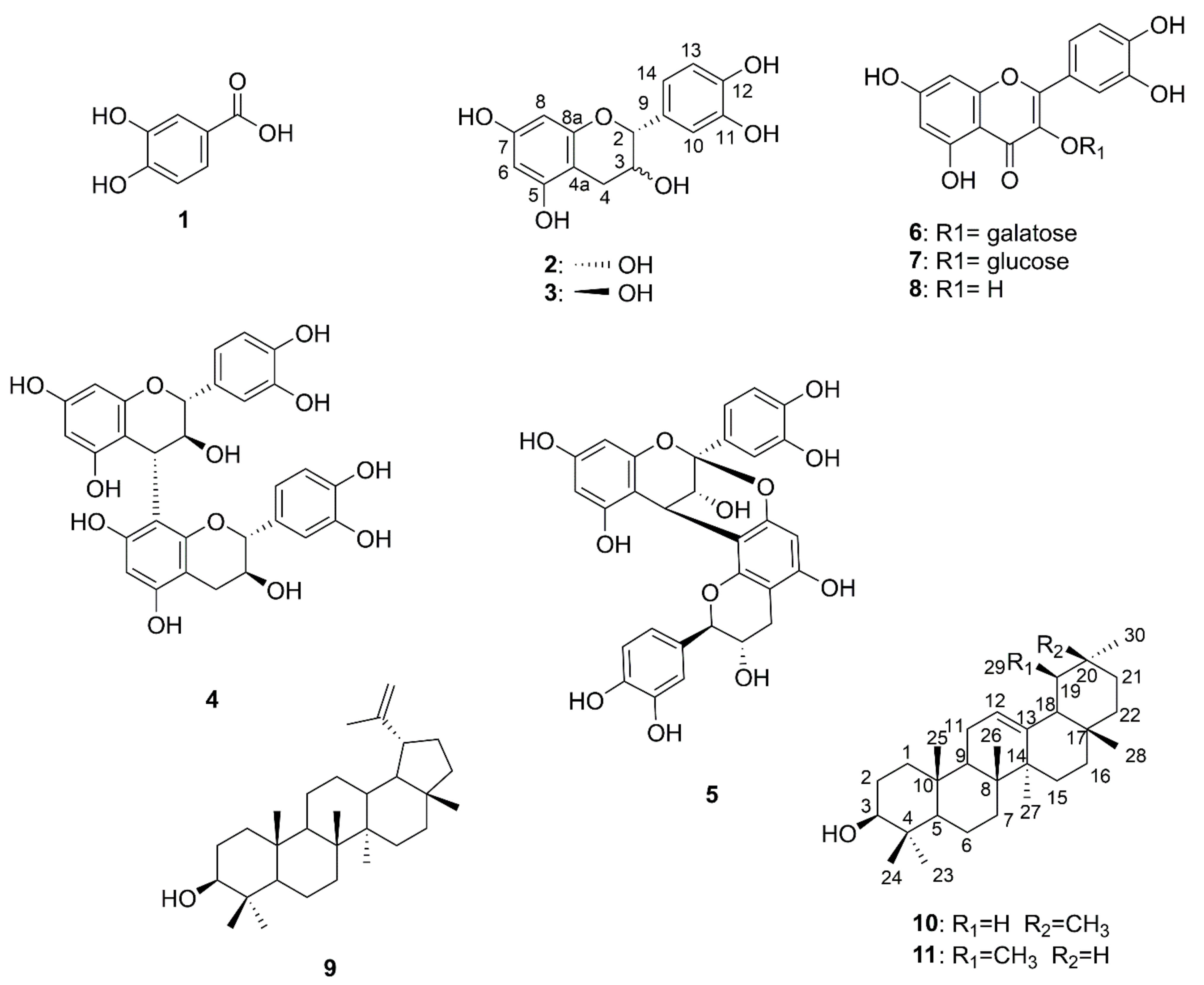 Pharmaceuticals 14 01098 g005