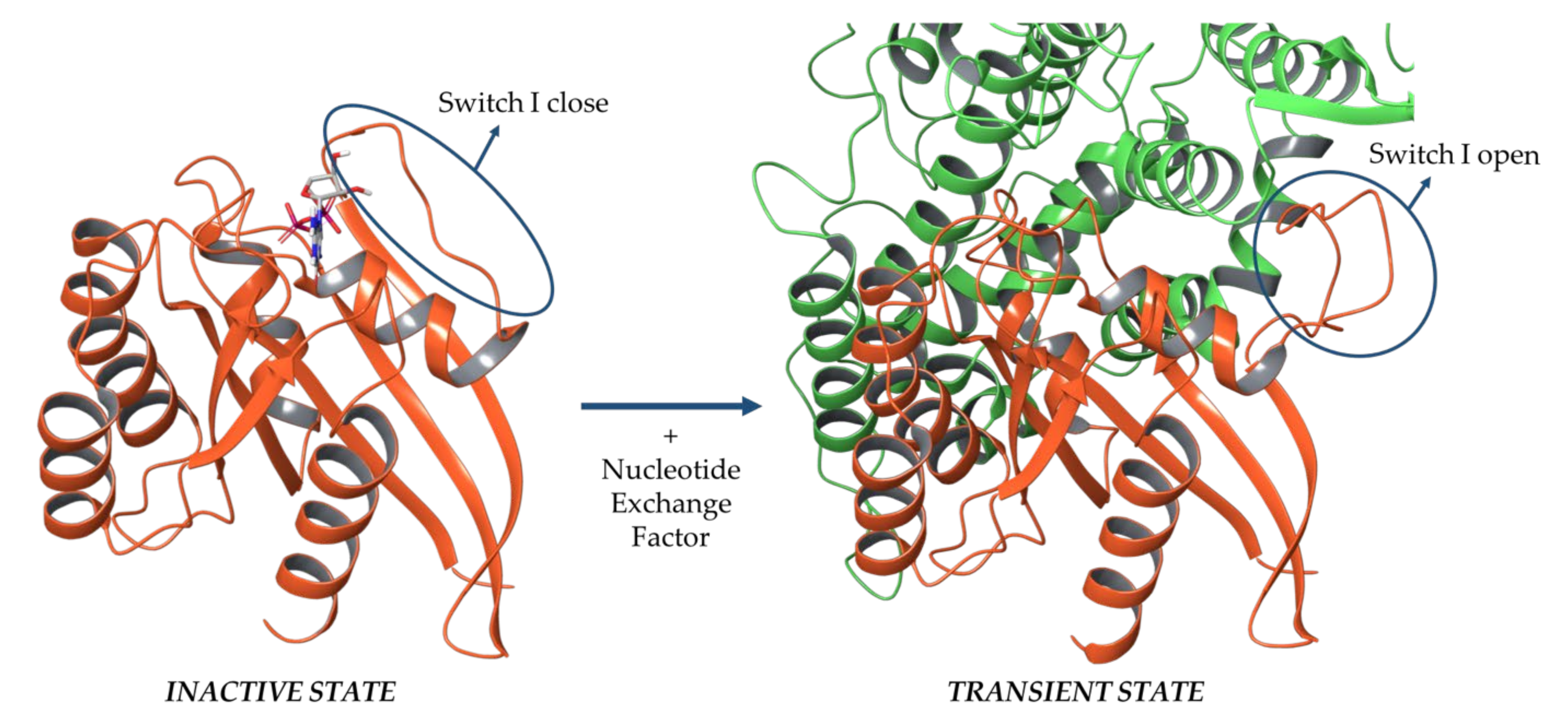 Pharmaceuticals 14 01099 g001 Pharmaceuticals 14 01099 g001