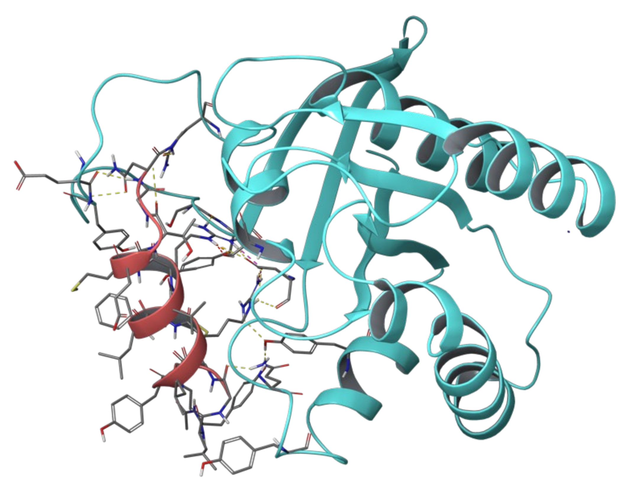 Pharmaceuticals 14 01099 g008 Pharmaceuticals 14 01099 g008