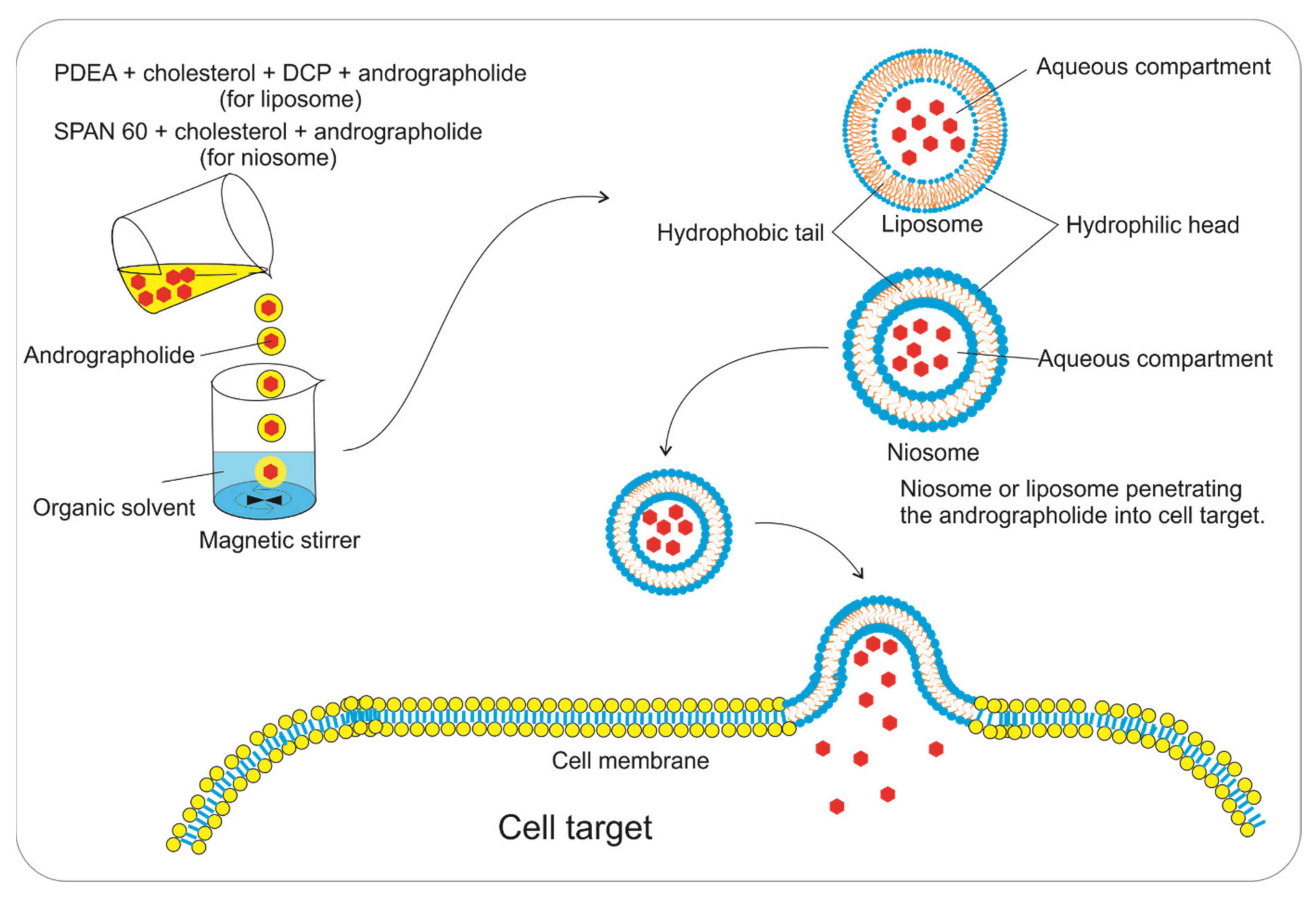 Pharmaceuticals 14 01102 g007 Pharmaceuticals 14 01102 g007