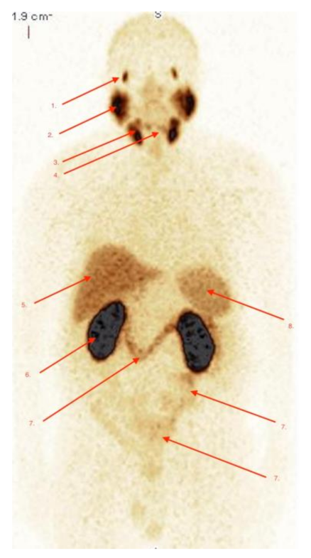 Pharmaceuticals 14 01107 g002 550