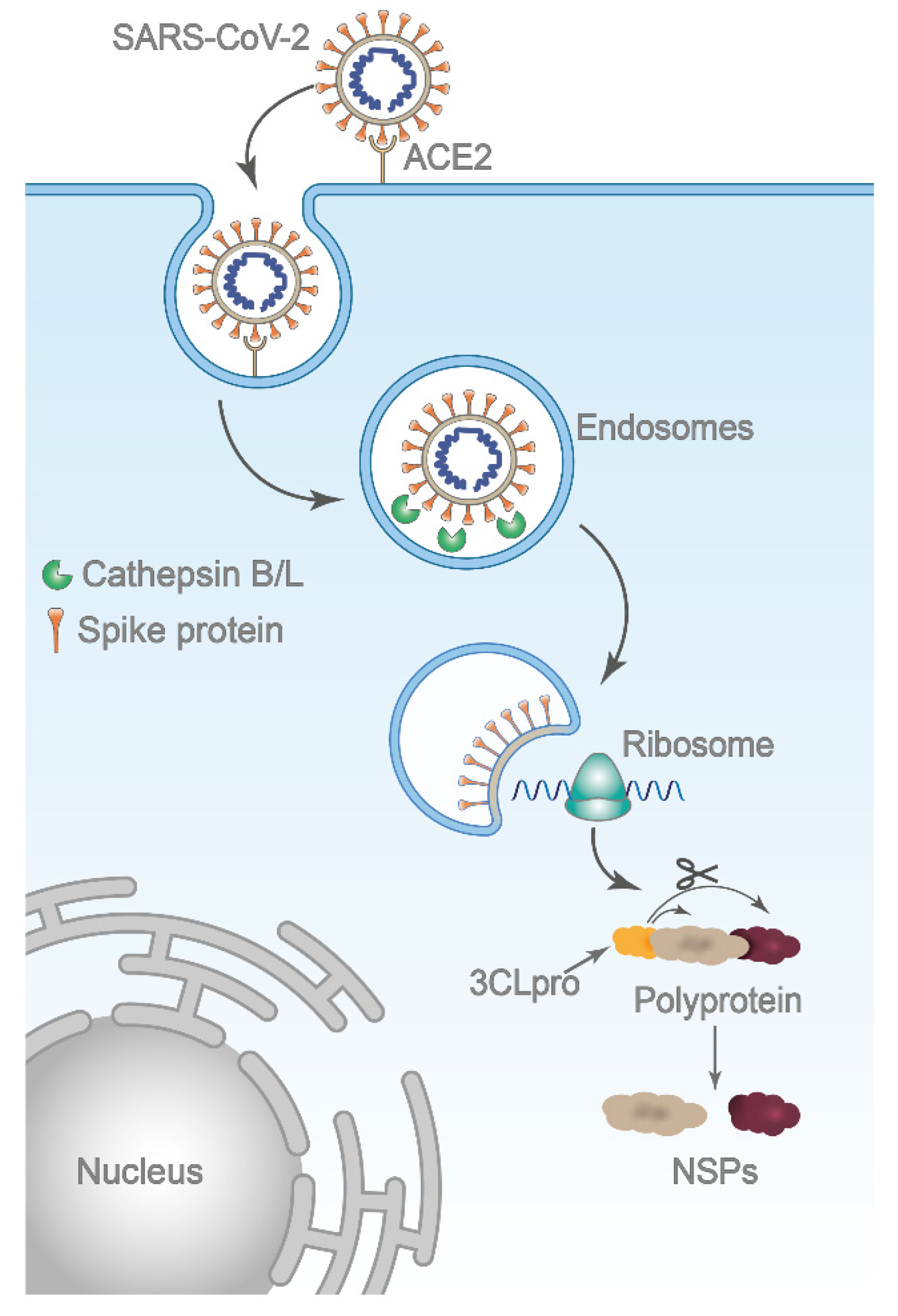 Pharmaceuticals 14 01111 g001