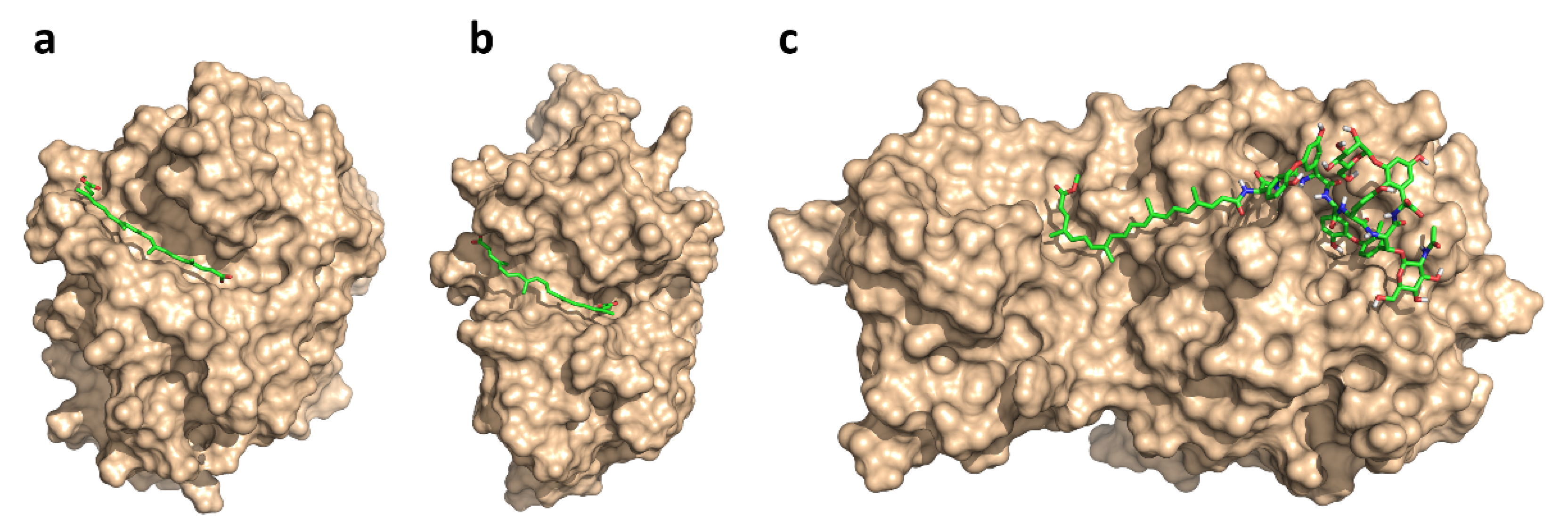 Pharmaceuticals 14 01111 g004