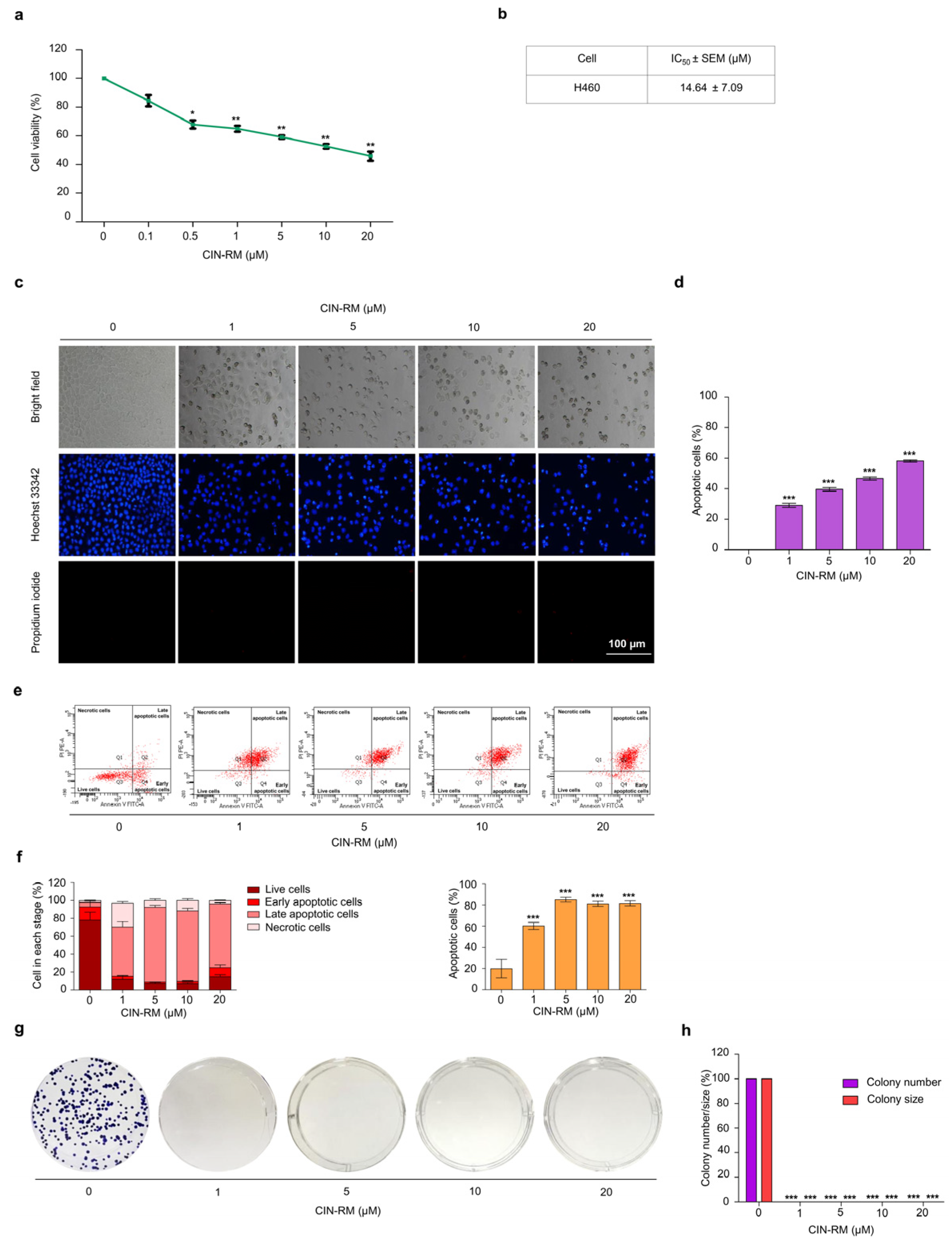 Pharmaceuticals 14 01112 g002