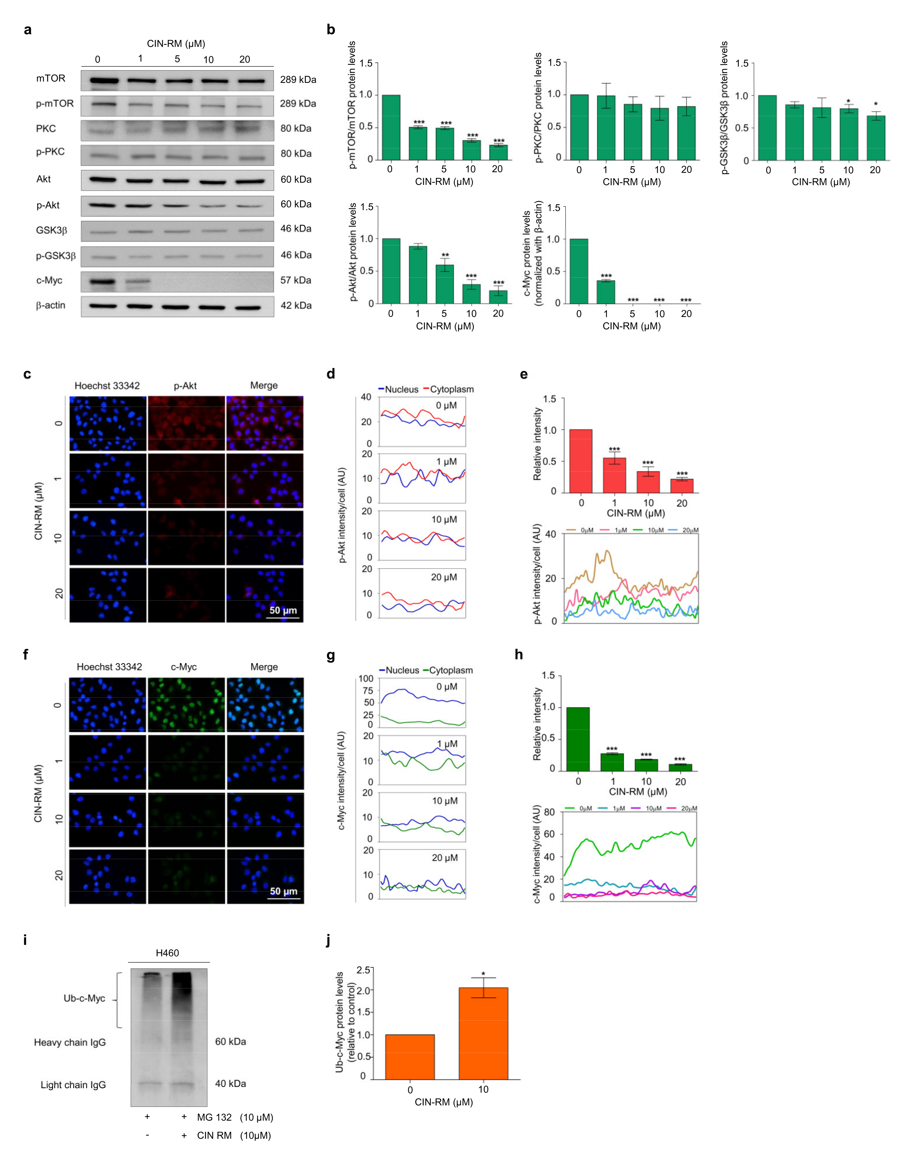 Pharmaceuticals 14 01112 g004