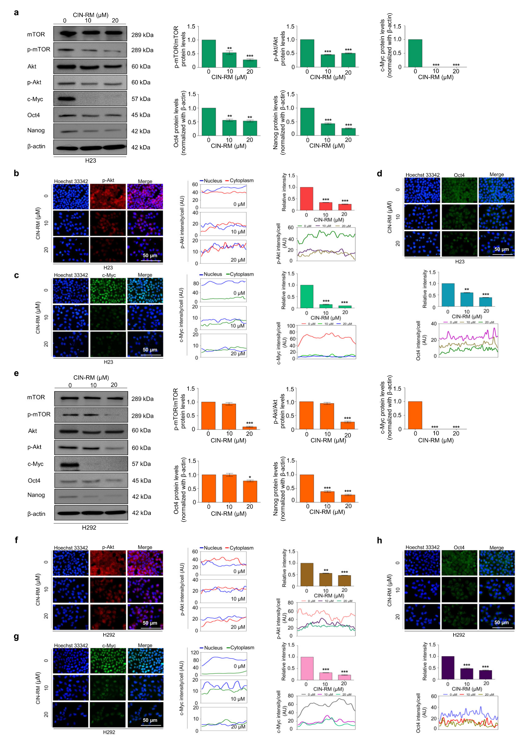 Pharmaceuticals 14 01112 g006